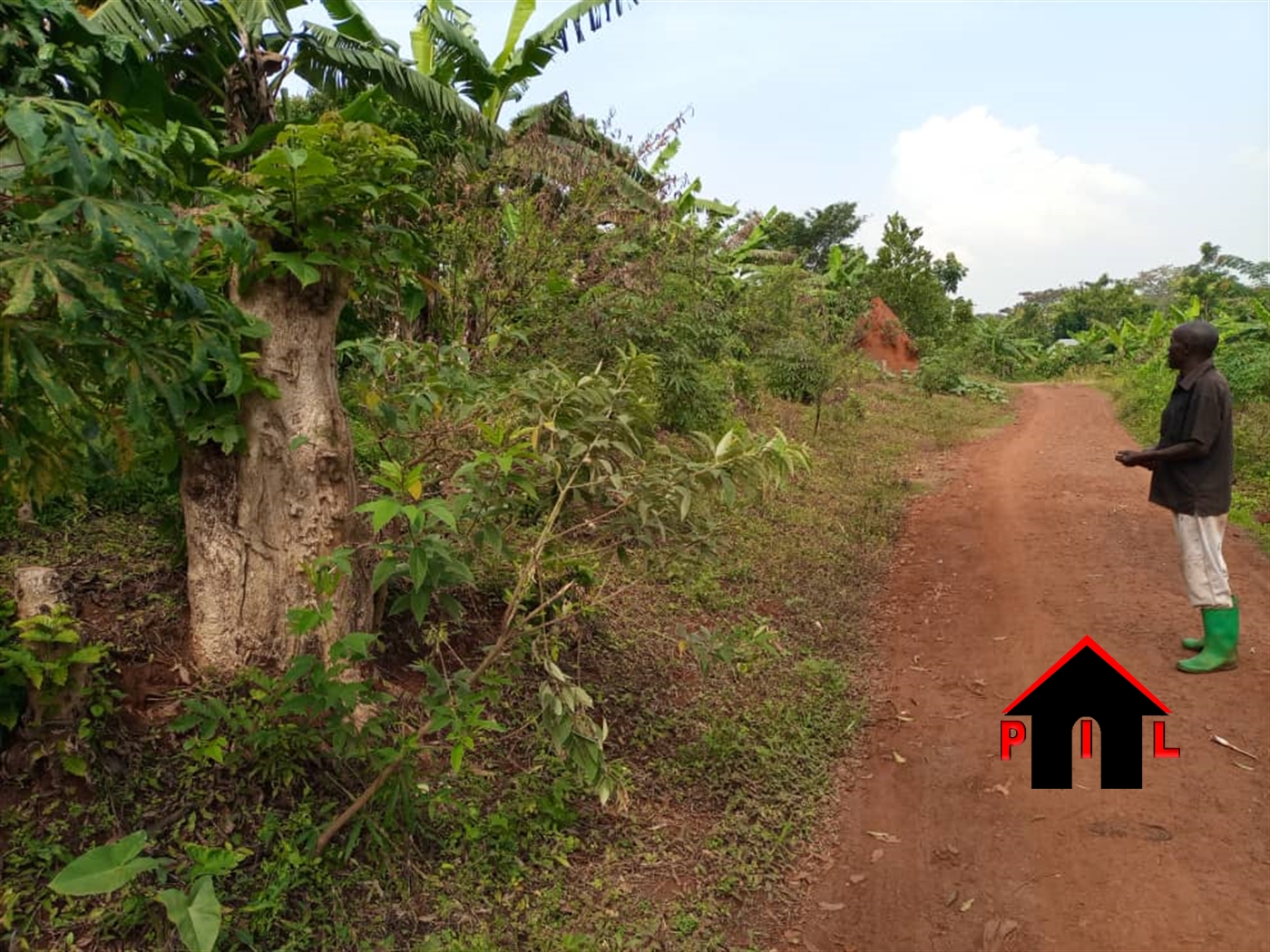 Agricultural Land for sale in Kisoga Mukono