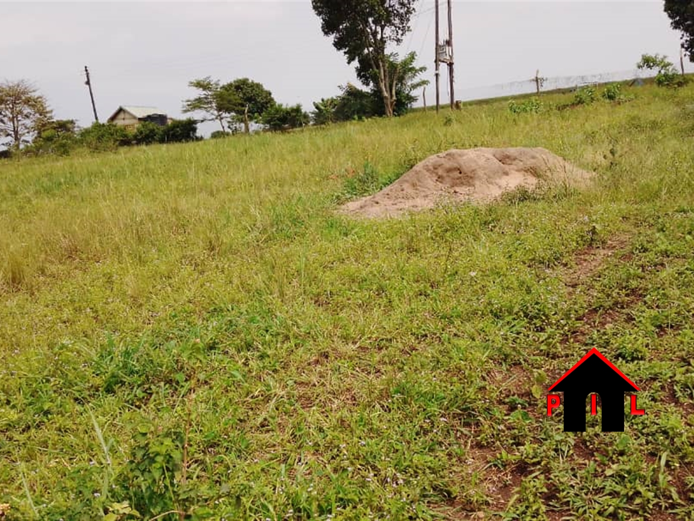 Residential Land for sale in Kalule Luweero