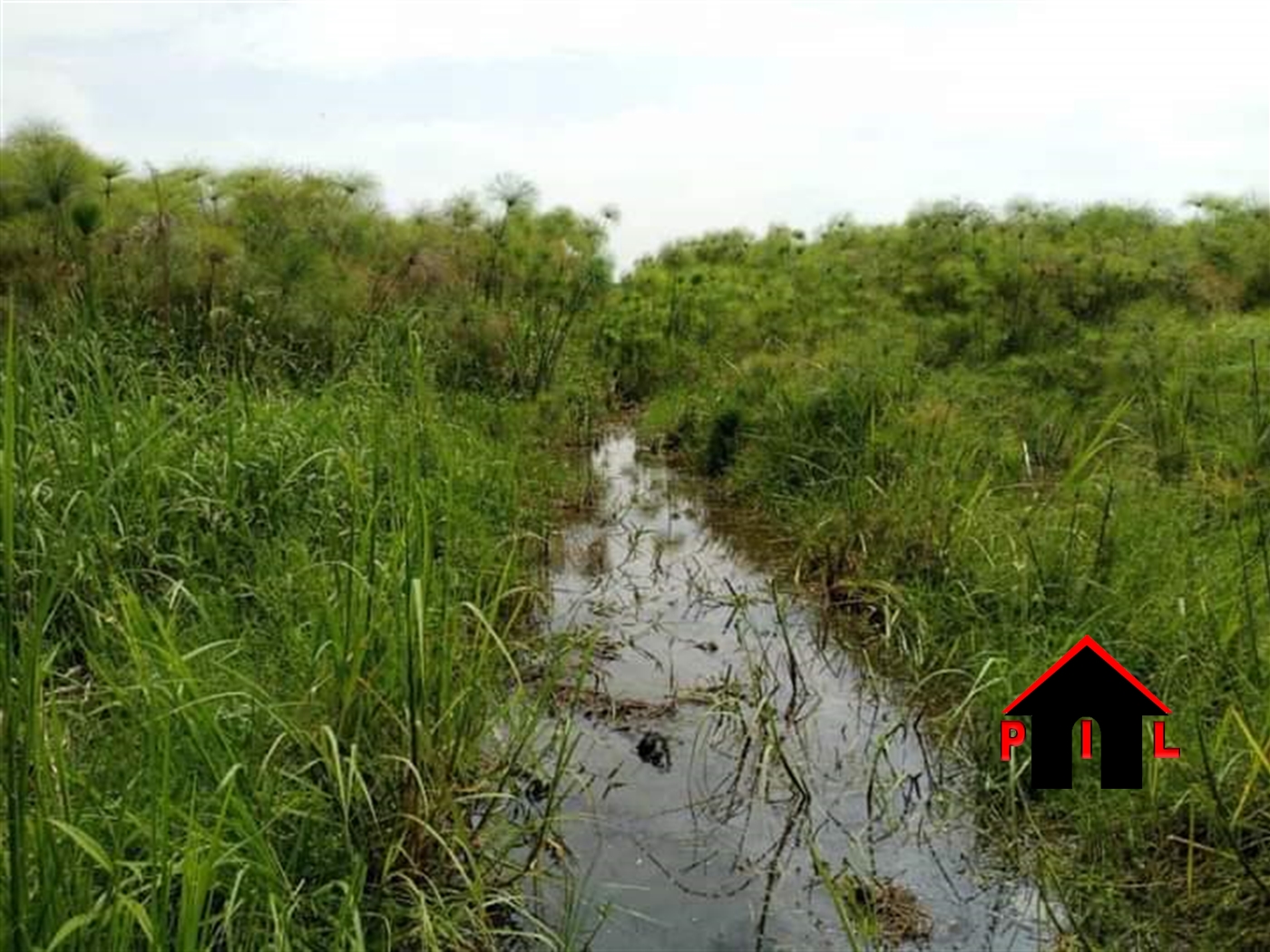 Agricultural Land for sale in Katovu Masaka