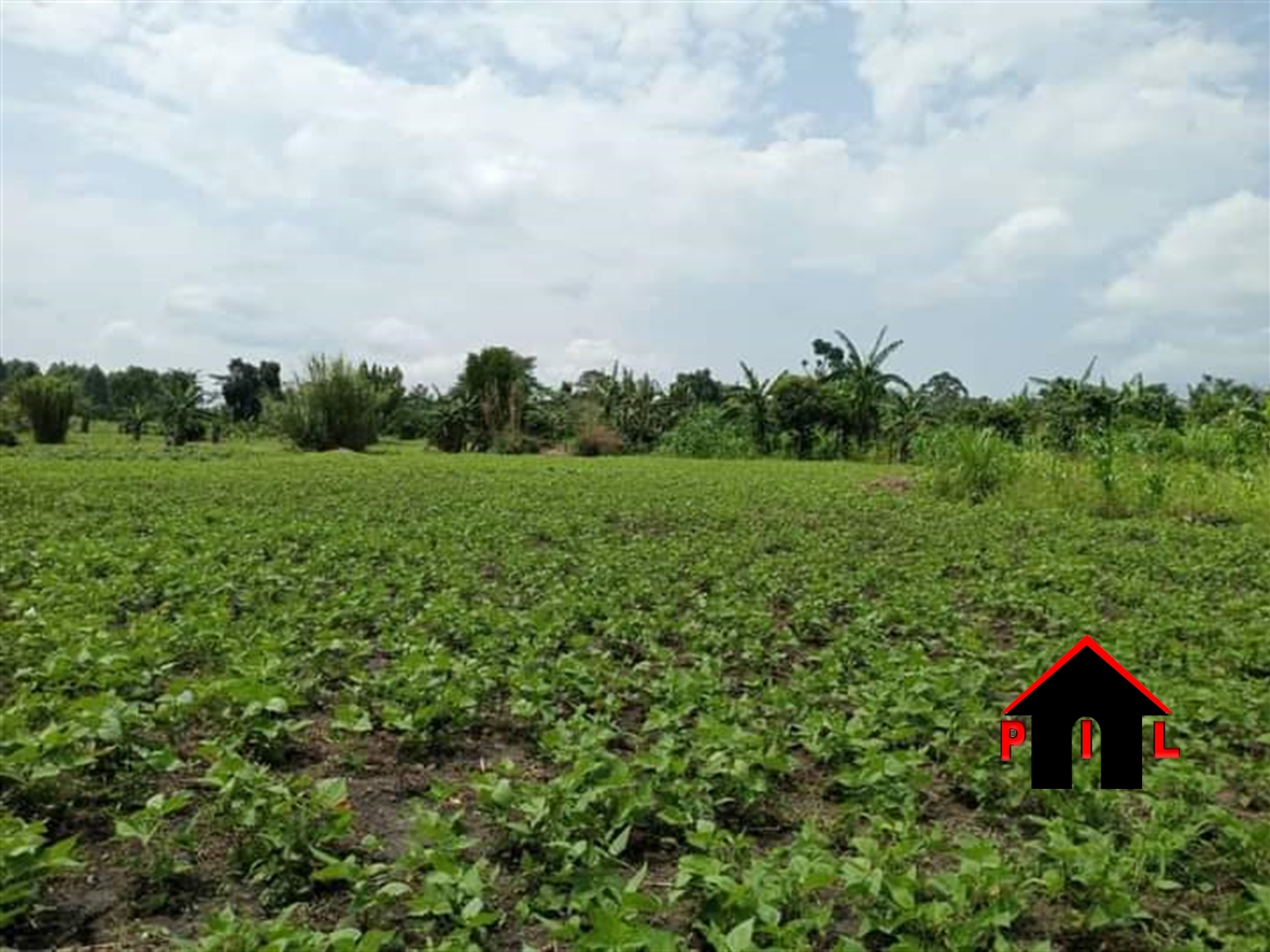 Agricultural Land for sale in Katovu Masaka