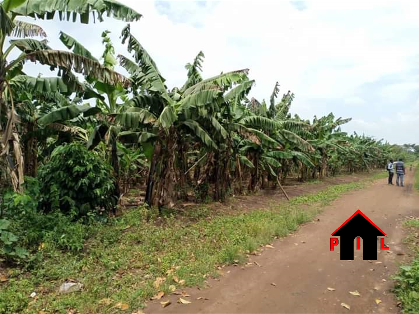 Agricultural Land for sale in Nabyewanga Masaka