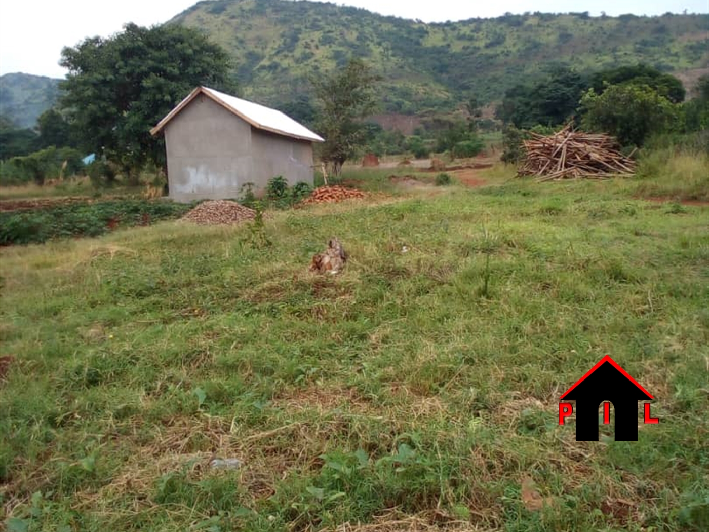 Agricultural Land for sale in Kyankwanzi Masaka