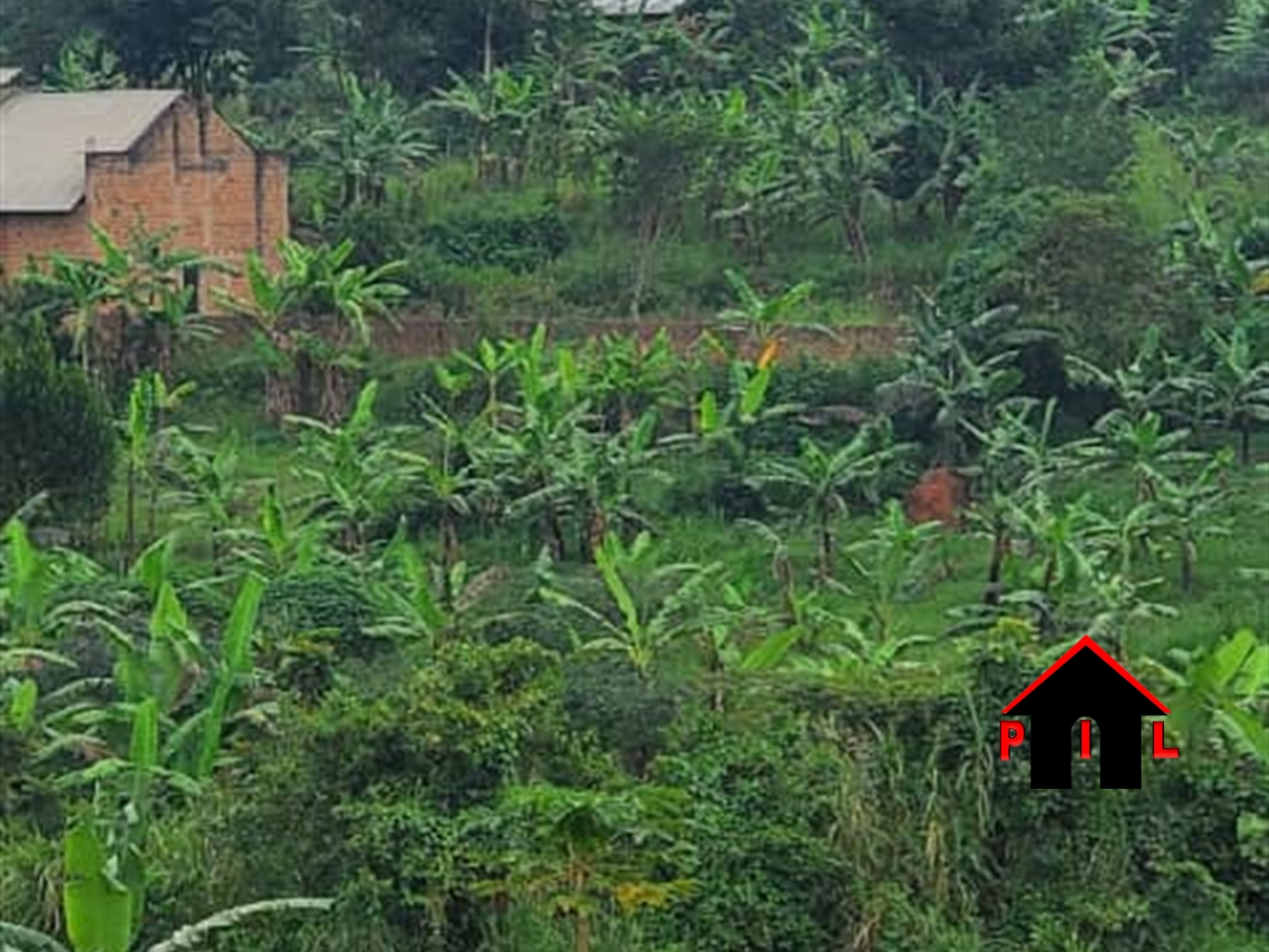 Residential Land for sale in Kiwenda Wakiso