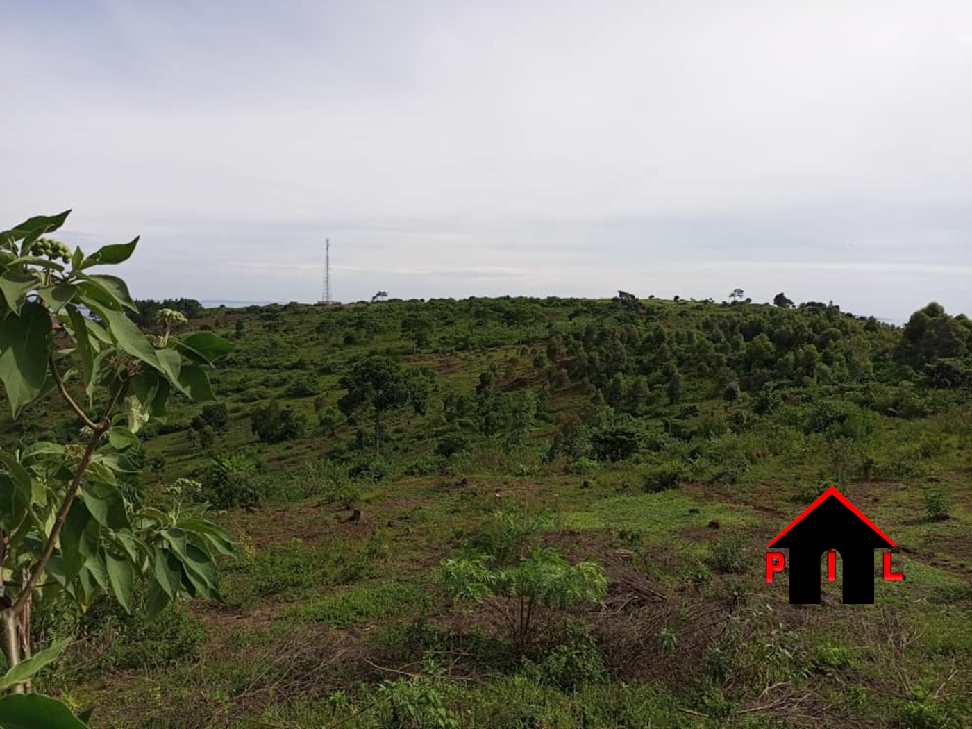 Agricultural Land for sale in Muvo Buyikwe