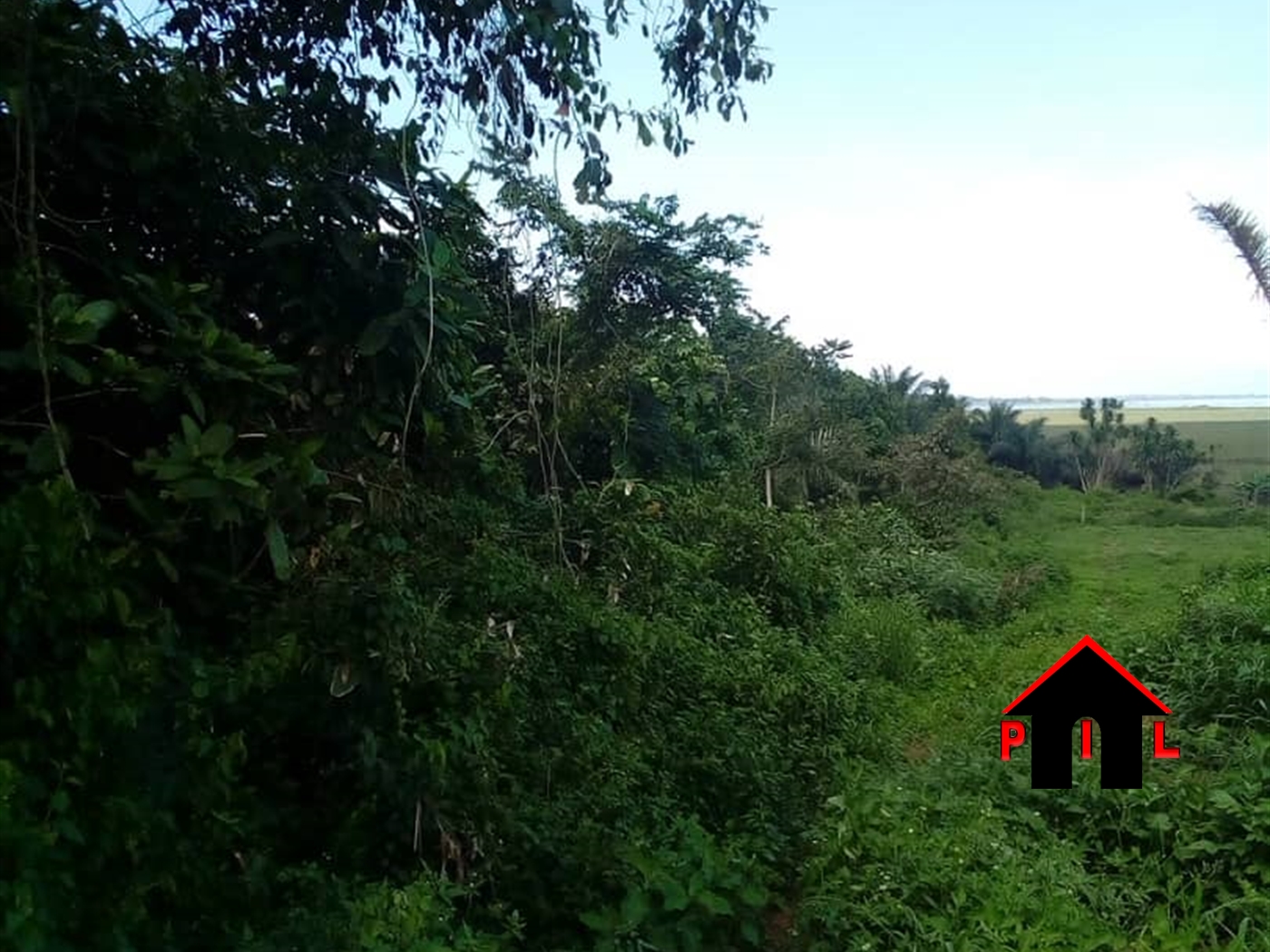Agricultural Land for sale in Ngongolo Wakiso