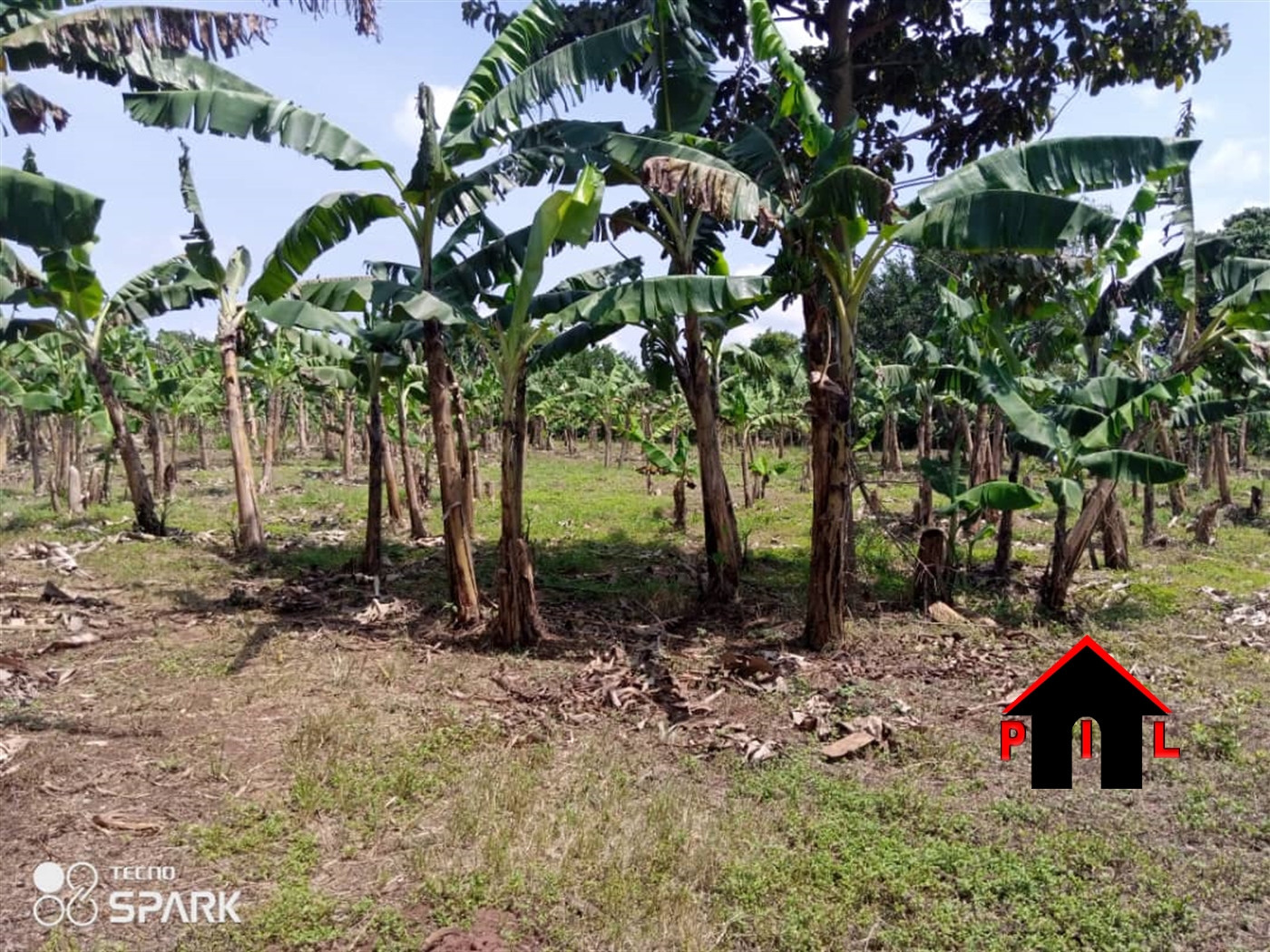 Agricultural Land for sale in Butalangu Nakaseke