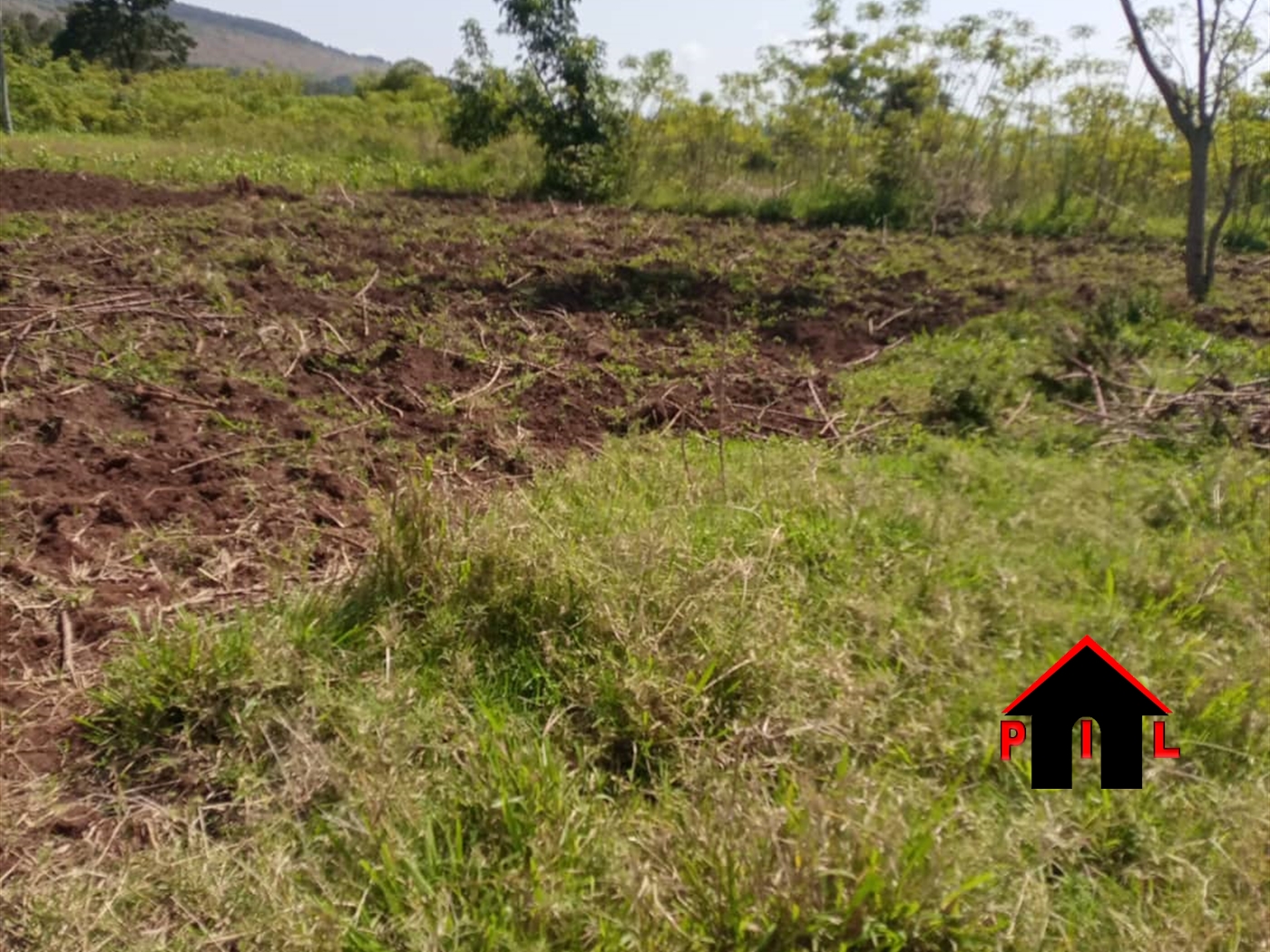 Agricultural Land for sale in Kiwenda Wakiso