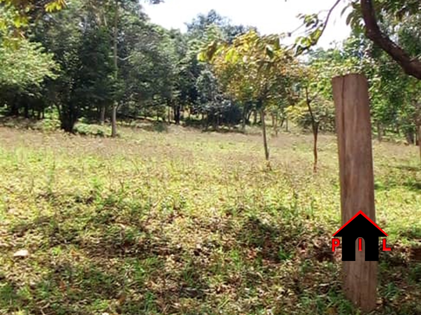 Agricultural Land for sale in Namulonge Wakiso