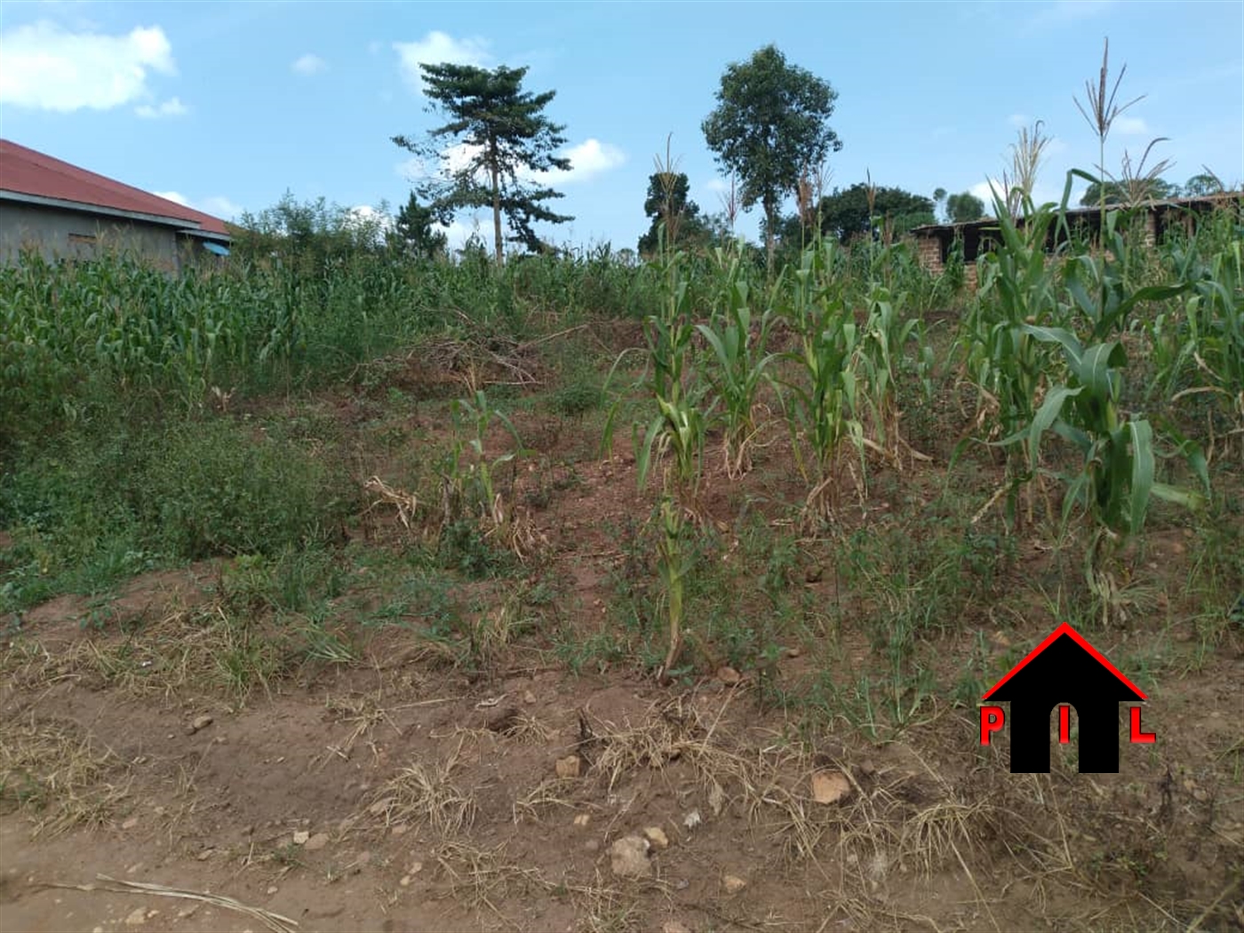 Residential Land for sale in Vvumba Luweero