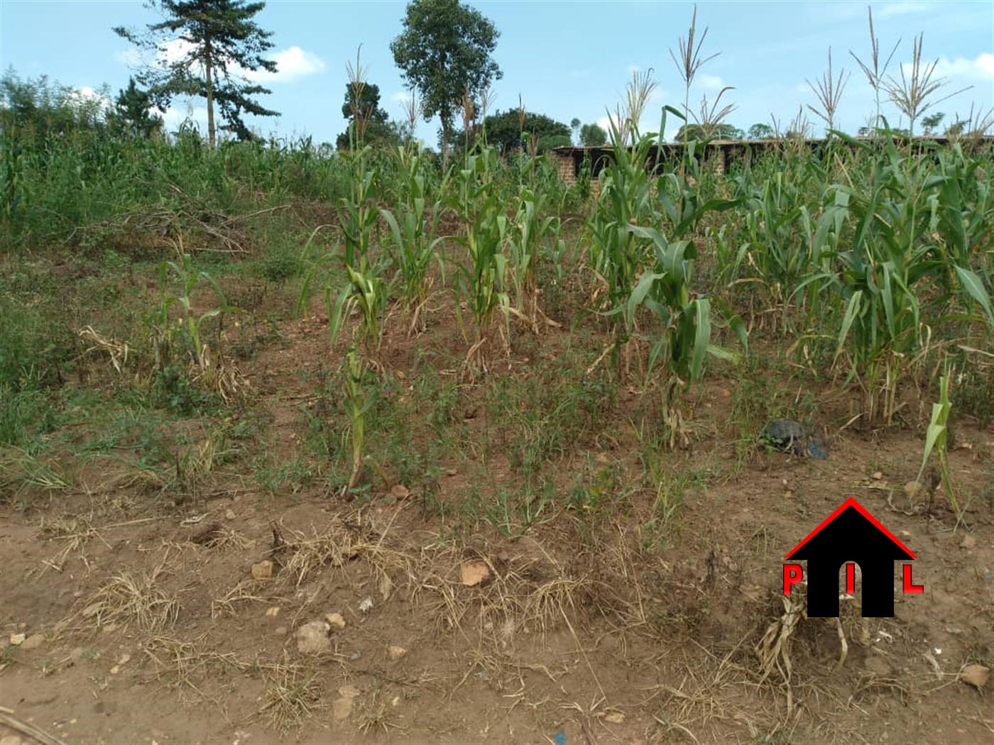 Residential Land for sale in Busiika Luweero