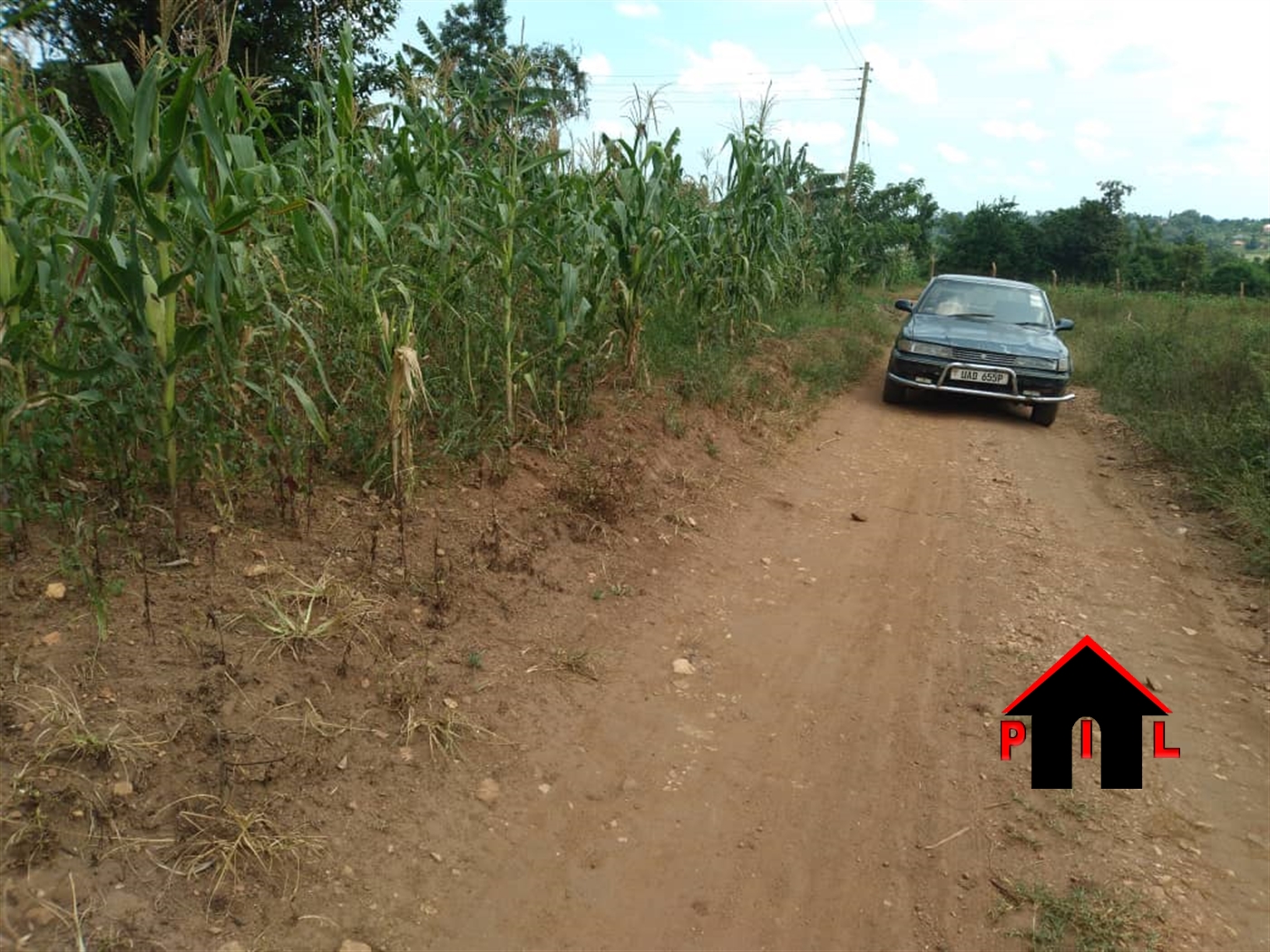 Residential Land for sale in Ziloobwe Luweero