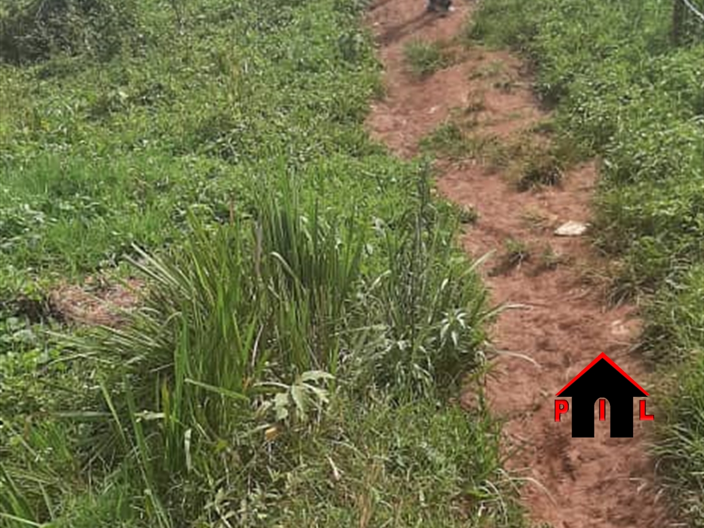 Residential Land for sale in Kiteredde Wakiso