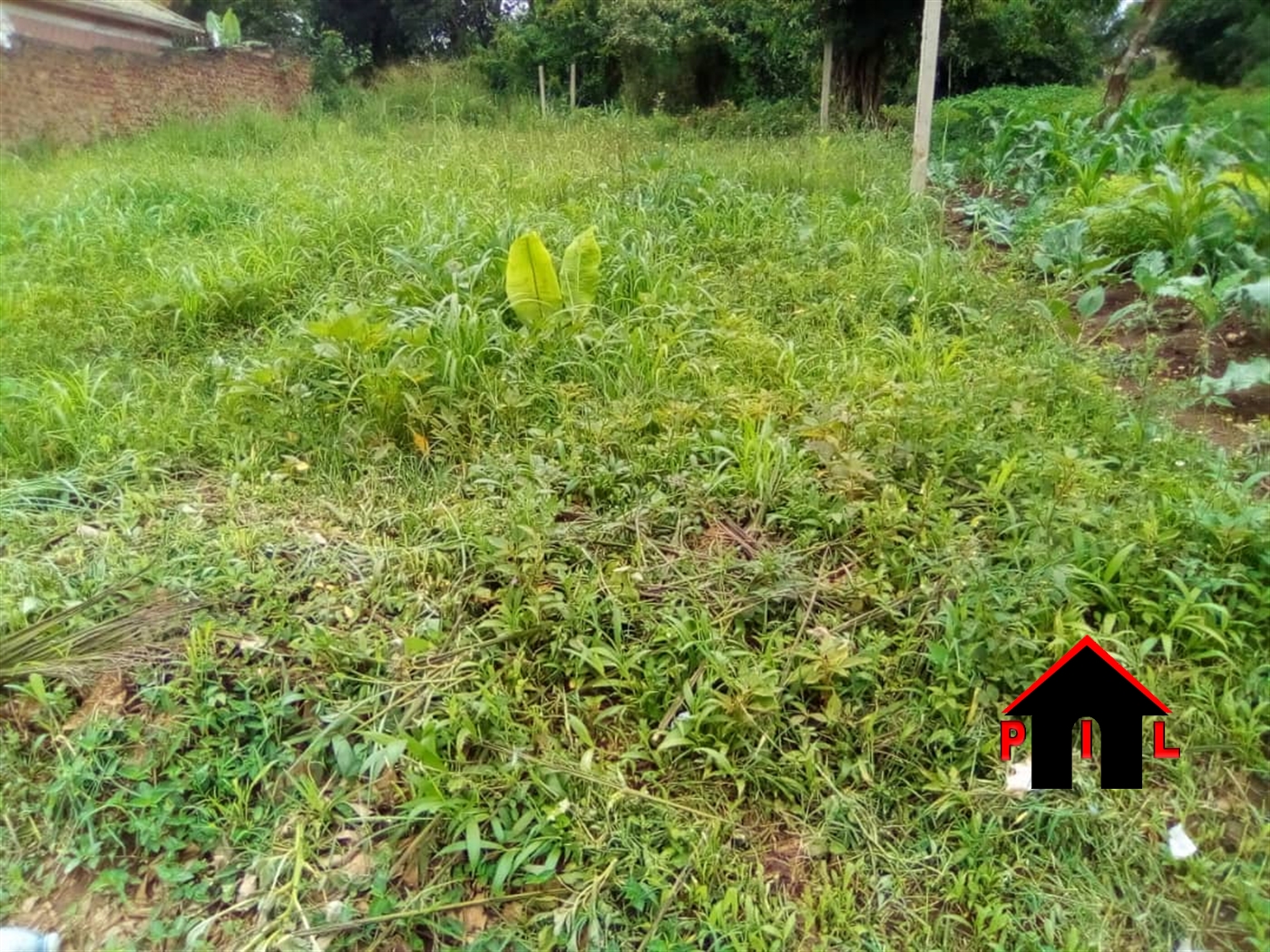 Agricultural Land for sale in Mabila Jinja