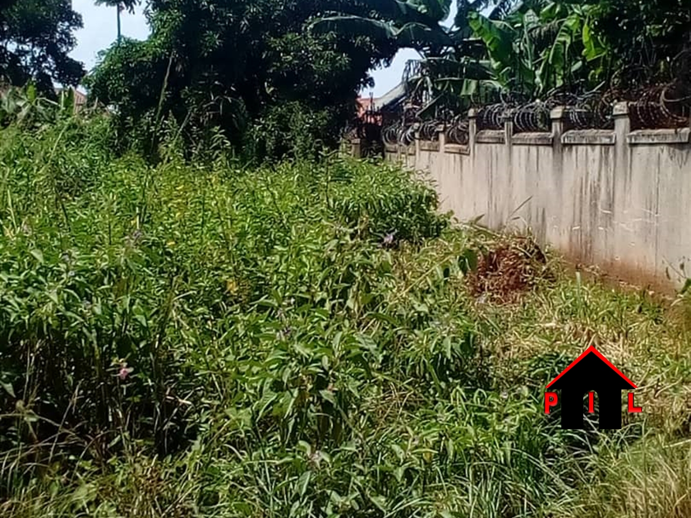 Residential Land for sale in Namulonge Wakiso