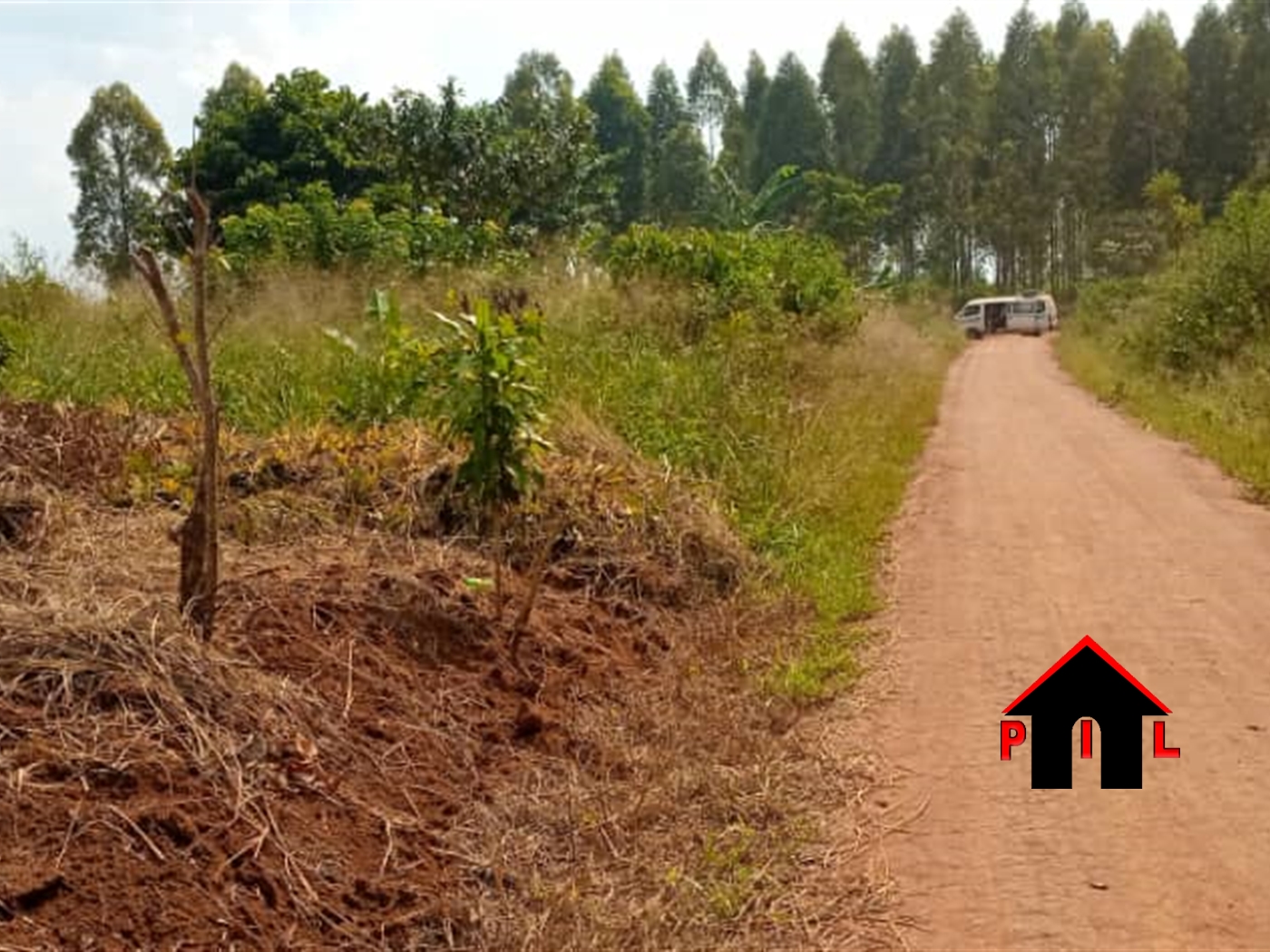 Agricultural Land for sale in Zirobwe Luwero