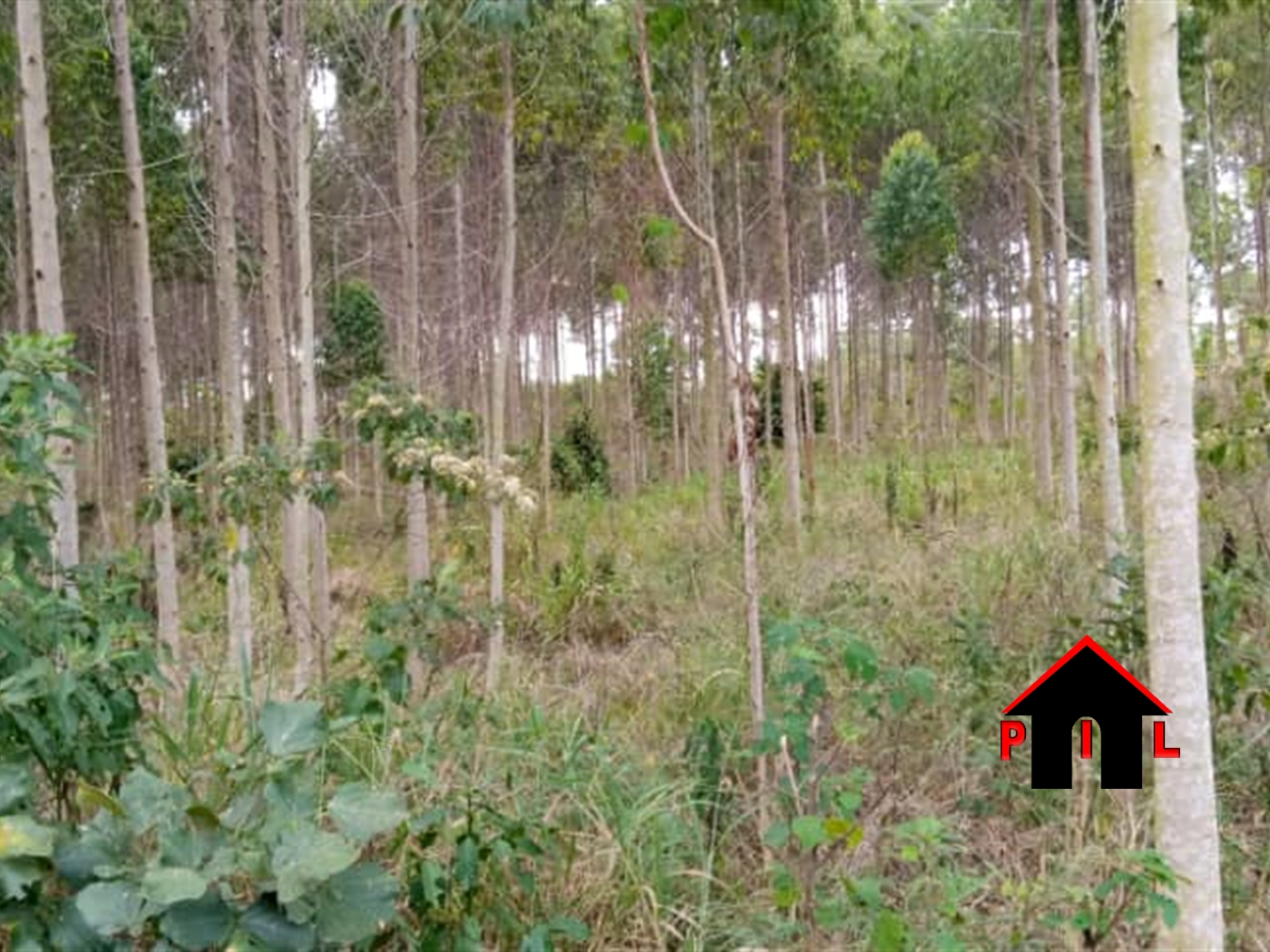 Agricultural Land for sale in Bumbajja Buyikwe