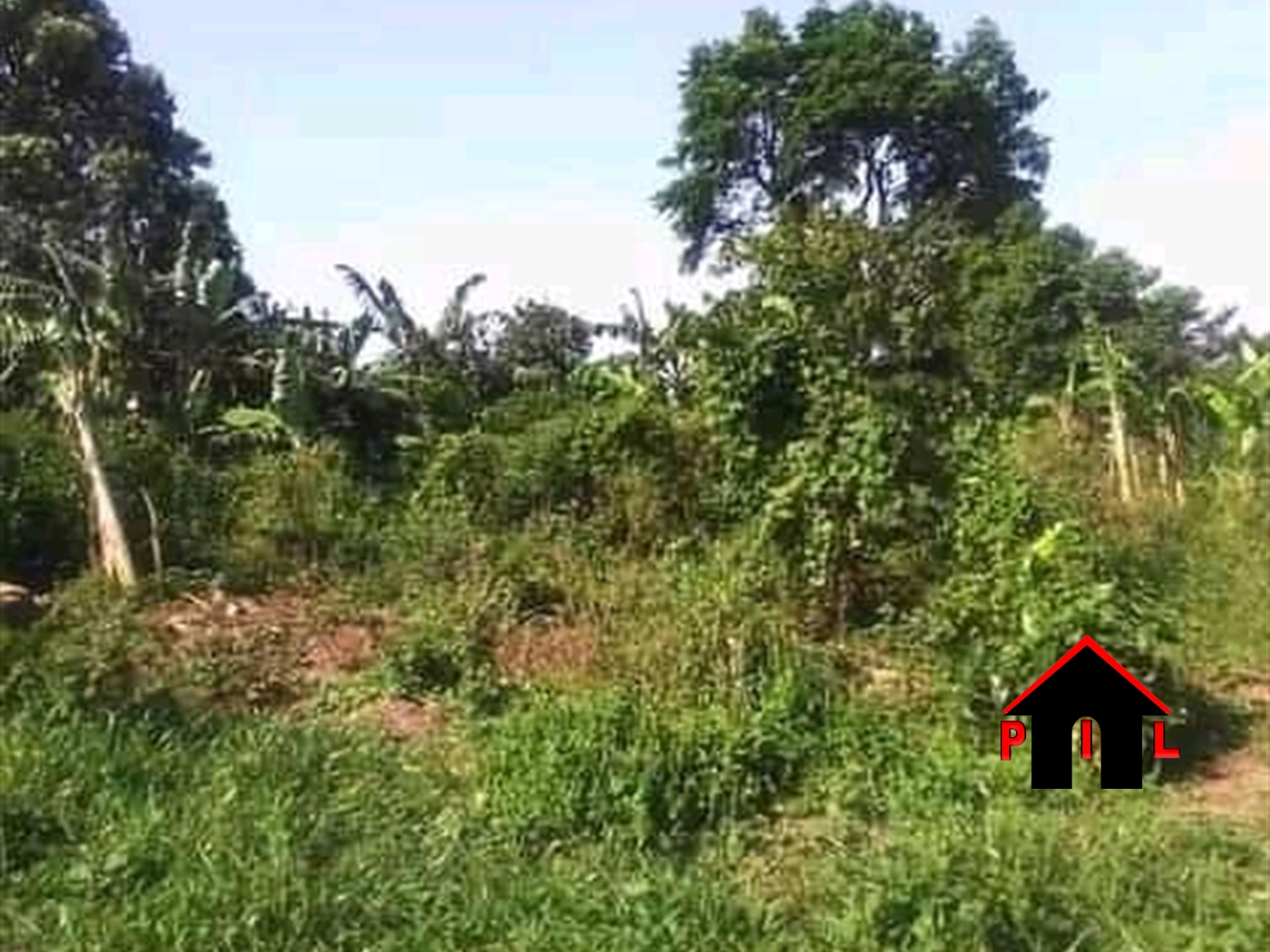 Commercial Land for sale in Ssesse Kalangala