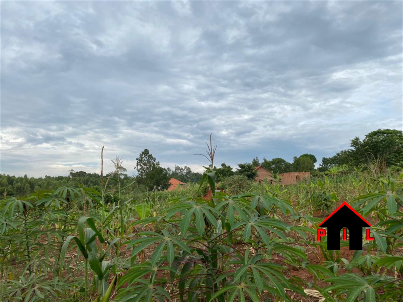 Residential Land for sale in Kasayi Mukono