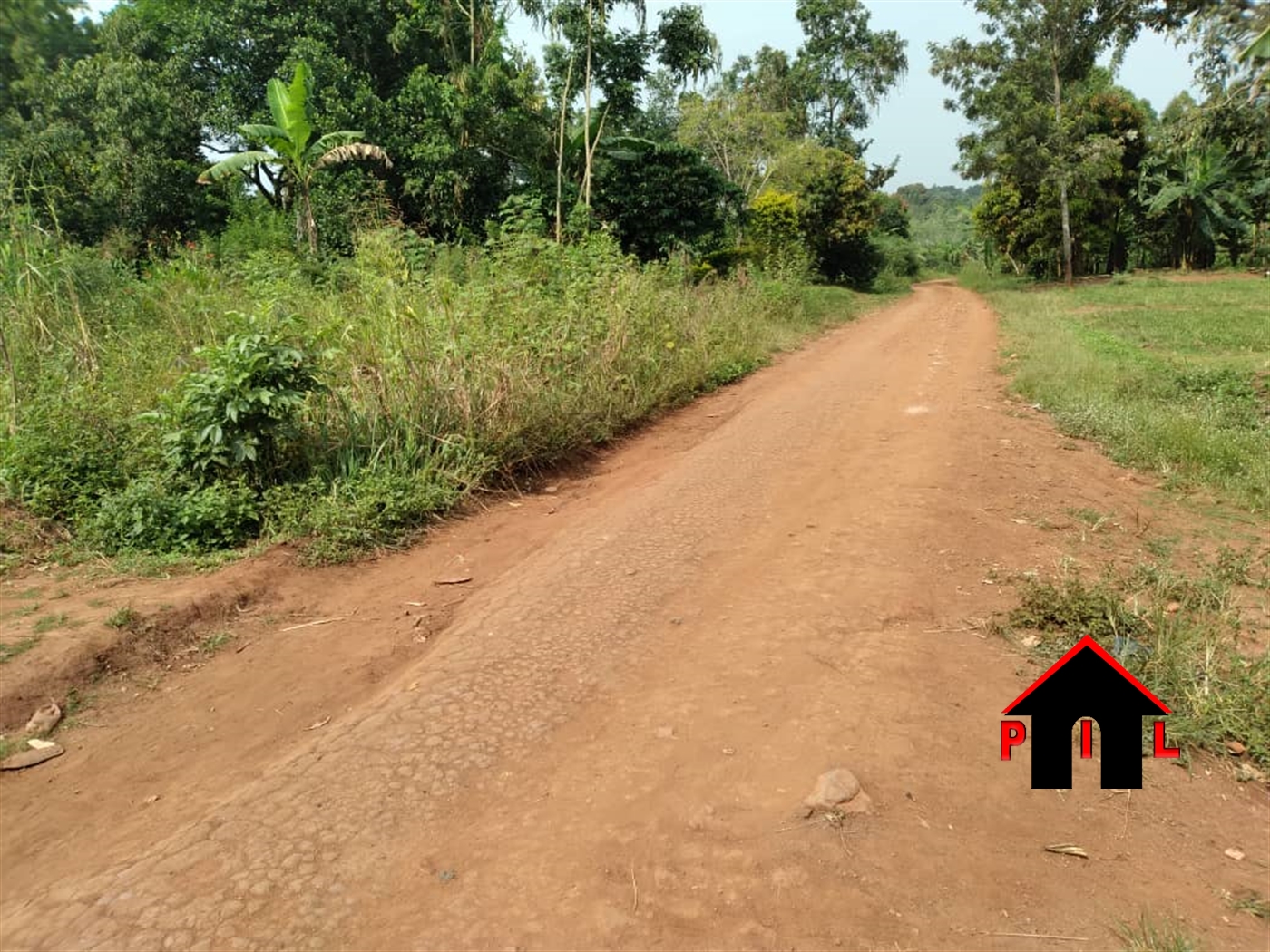 Agricultural Land for sale in Ziloobwe Luweero