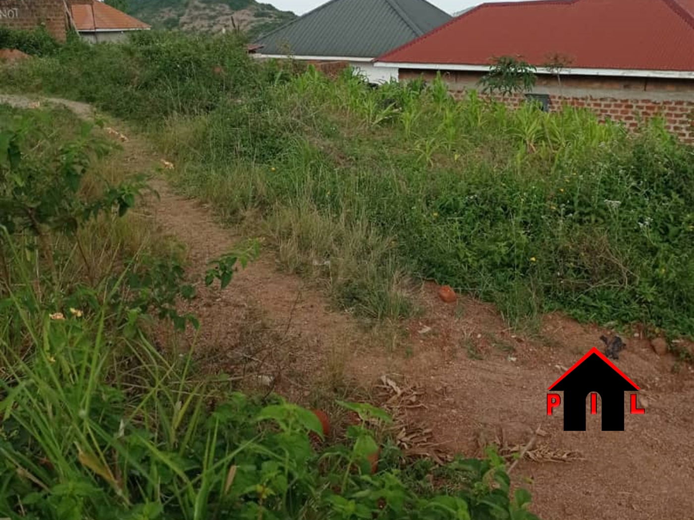 Residential Land for sale in Namulonge Wakiso