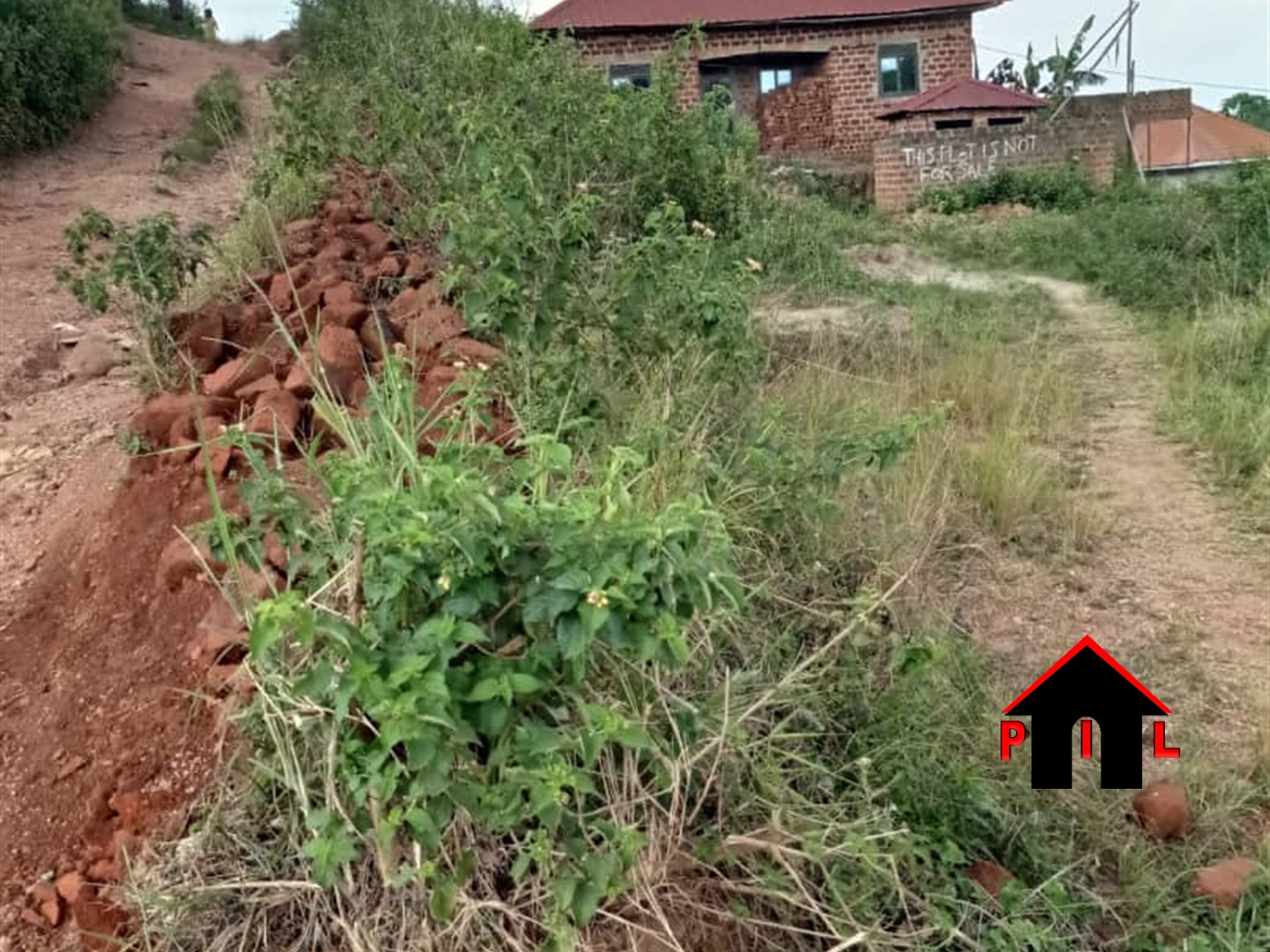 Residential Land for sale in Namulonge Wakiso