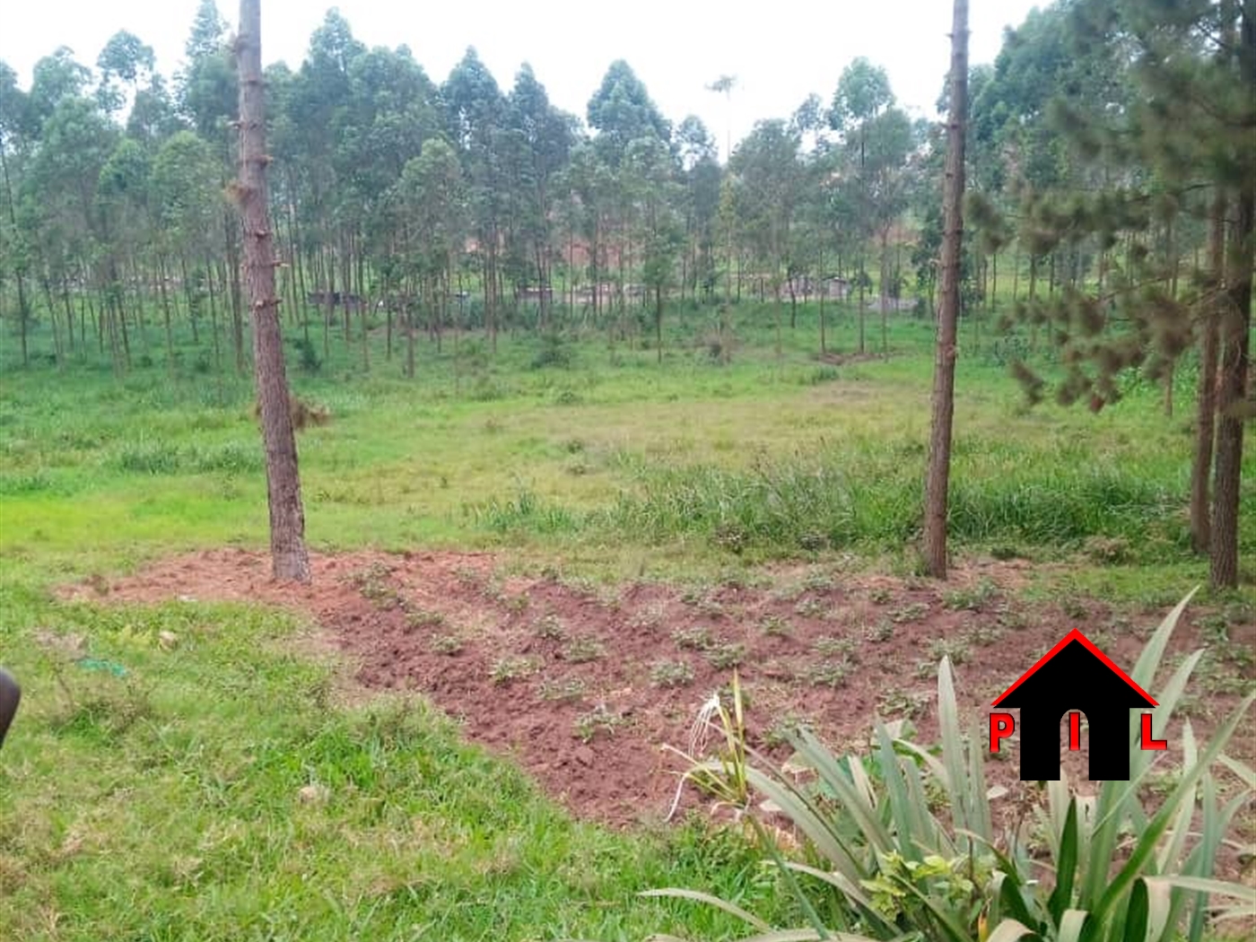 Agricultural Land for sale in Bugema Wakiso
