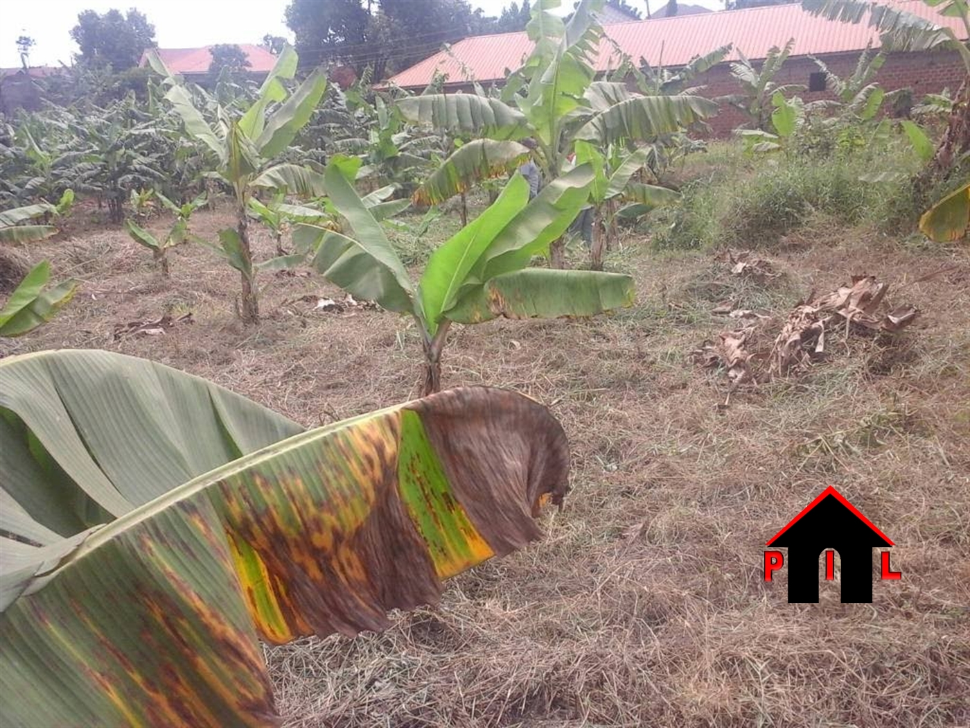 Residential Land for sale in Namugongo Wakiso