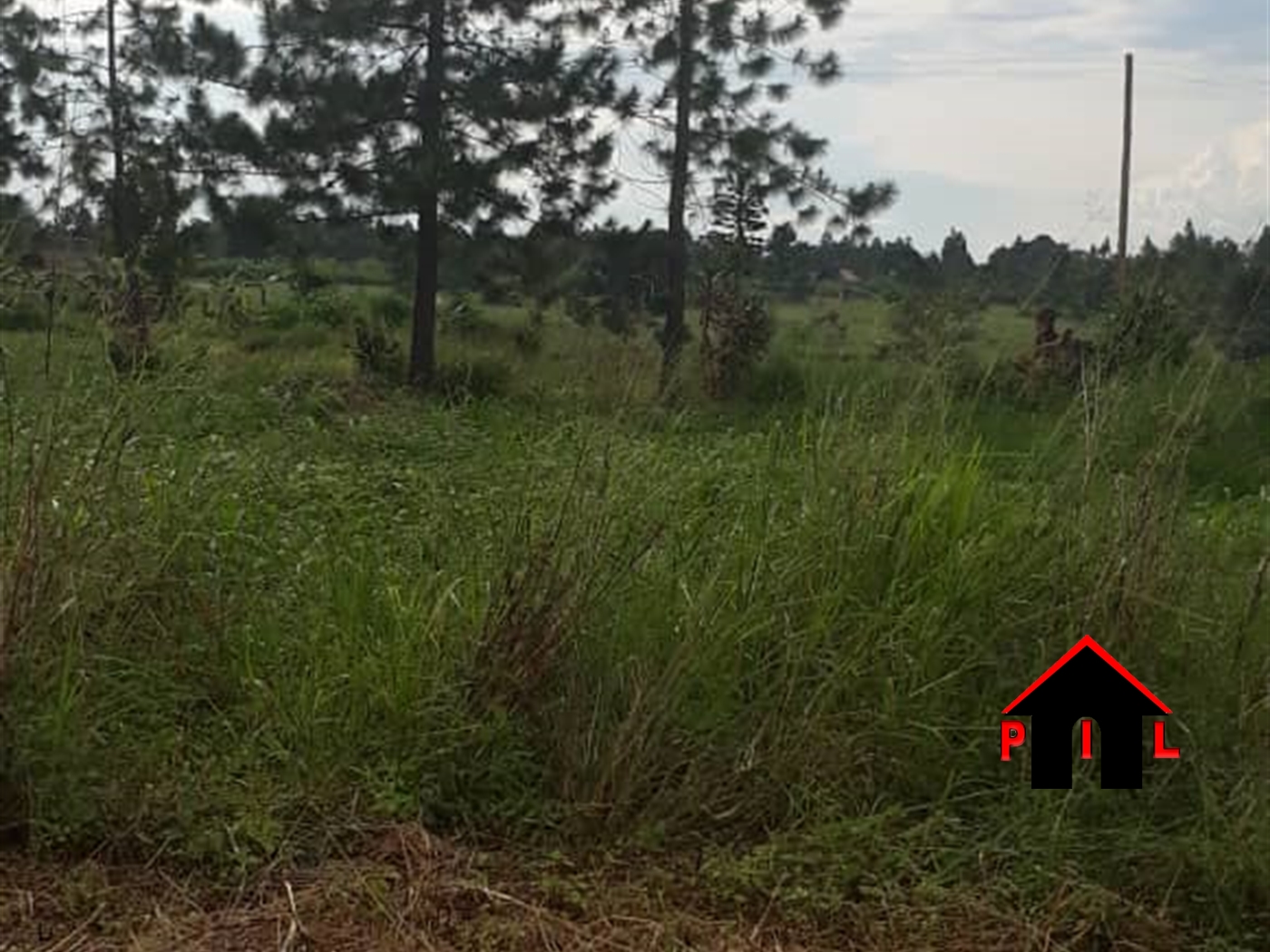 Residential Land for sale in Kiwenda Wakiso