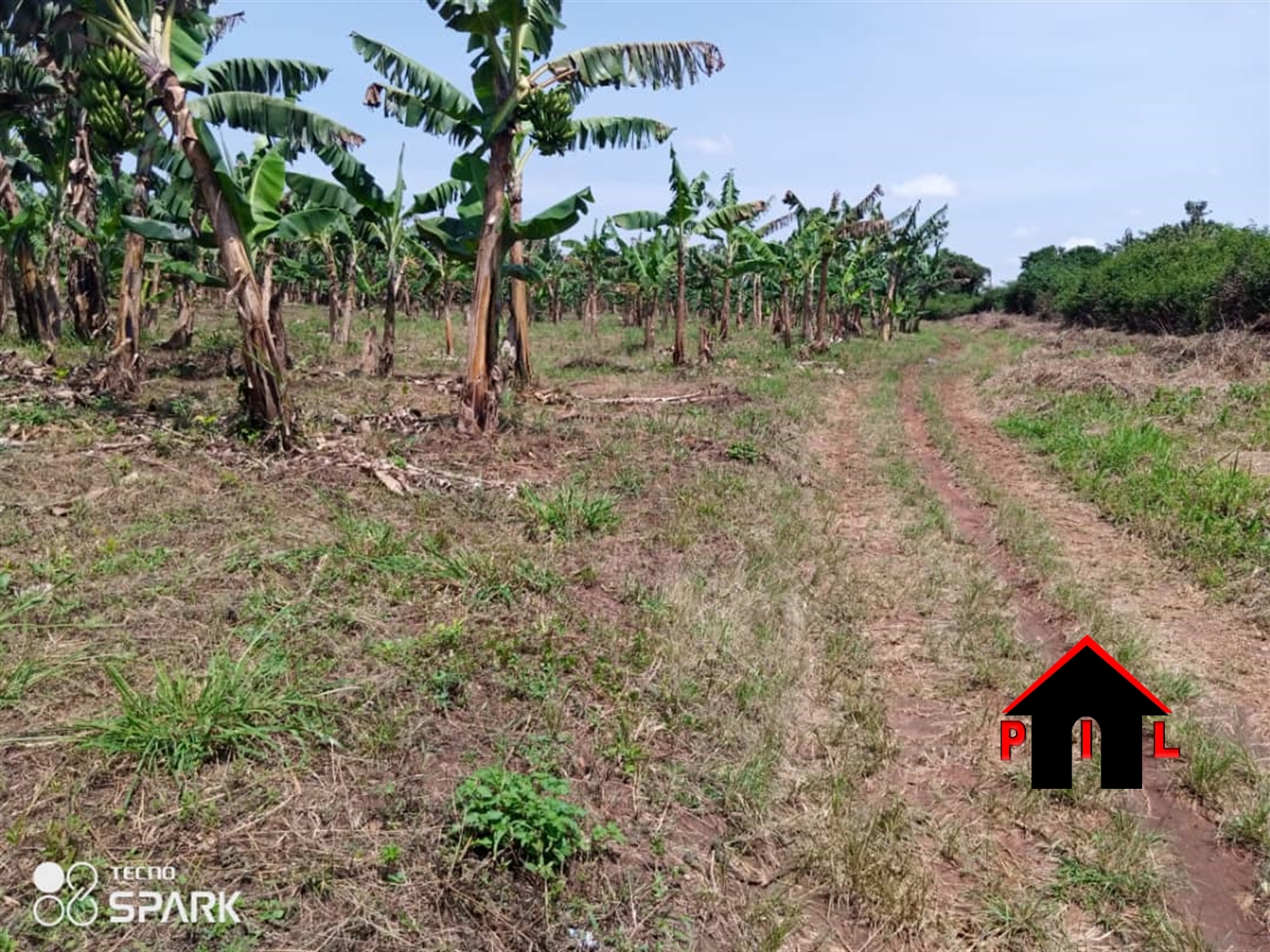 Residential Land for sale in Migade Luweero
