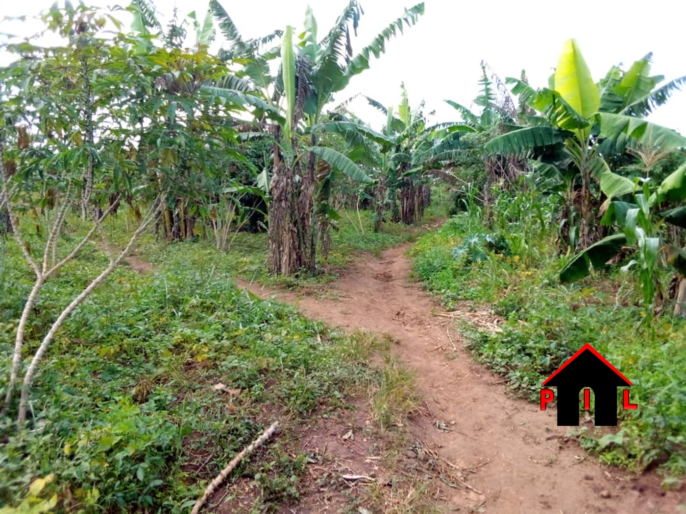 Agricultural Land for sale in Kitungwa Wakiso