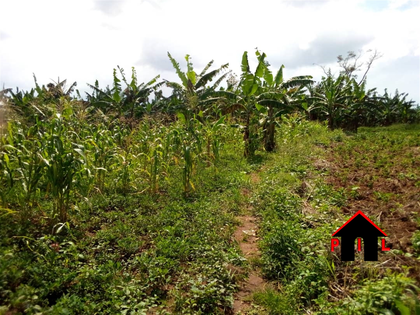 Agricultural Land for sale in Kitungwa Wakiso