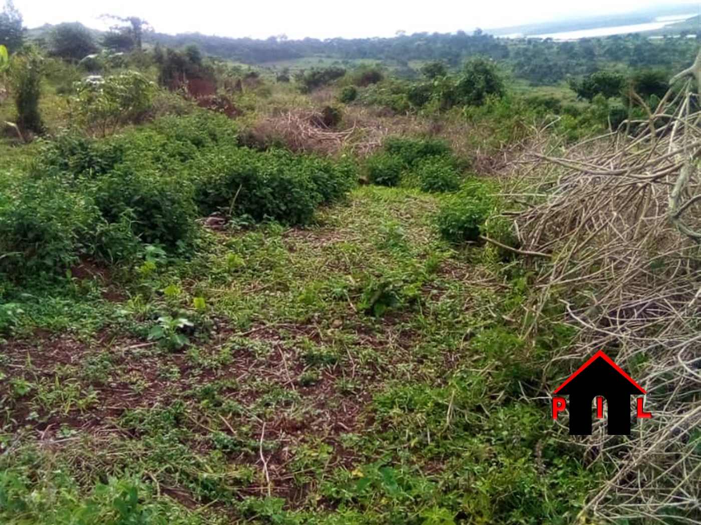 Agricultural Land for sale in Namukuma Buyikwe