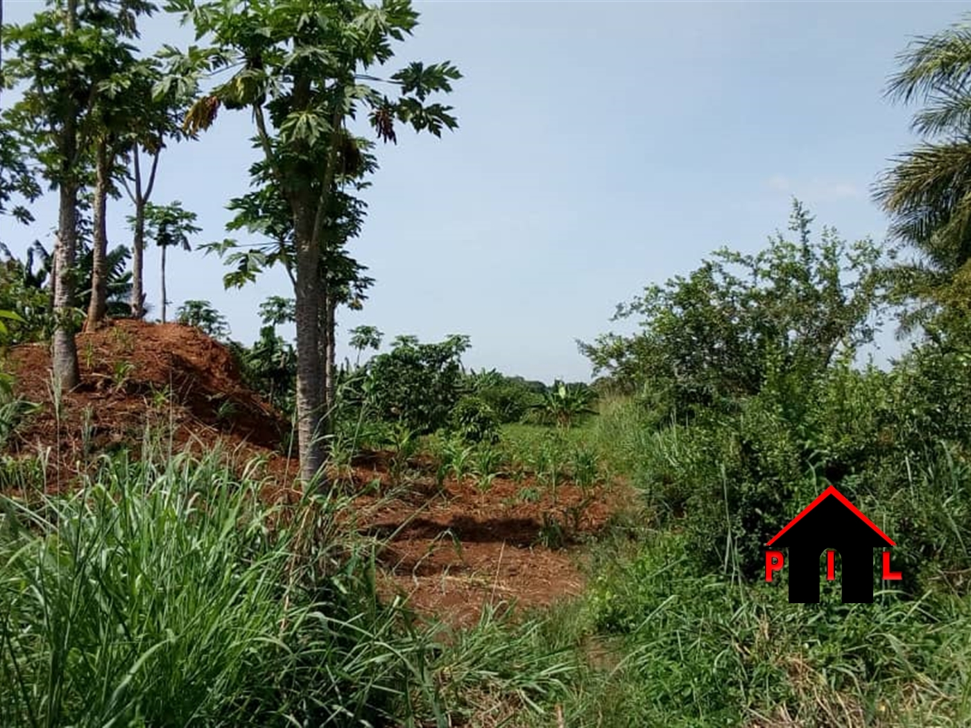 Residential Land for sale in Buwambo Wakiso