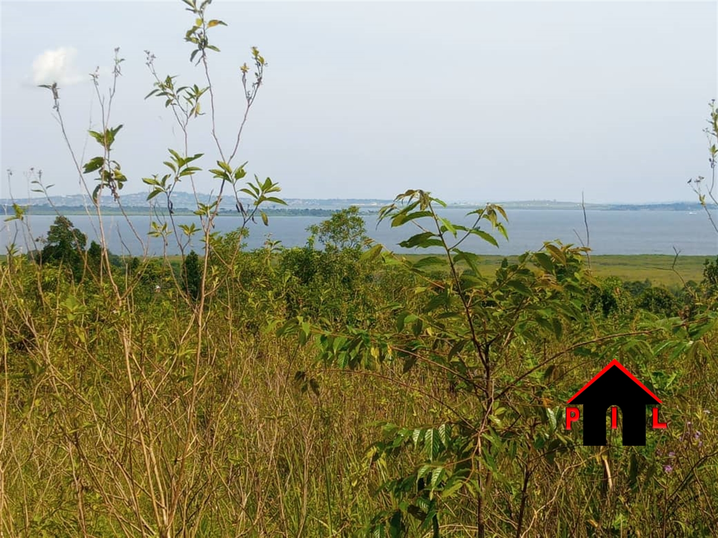 Residential Land for sale in Ziba Kalangala