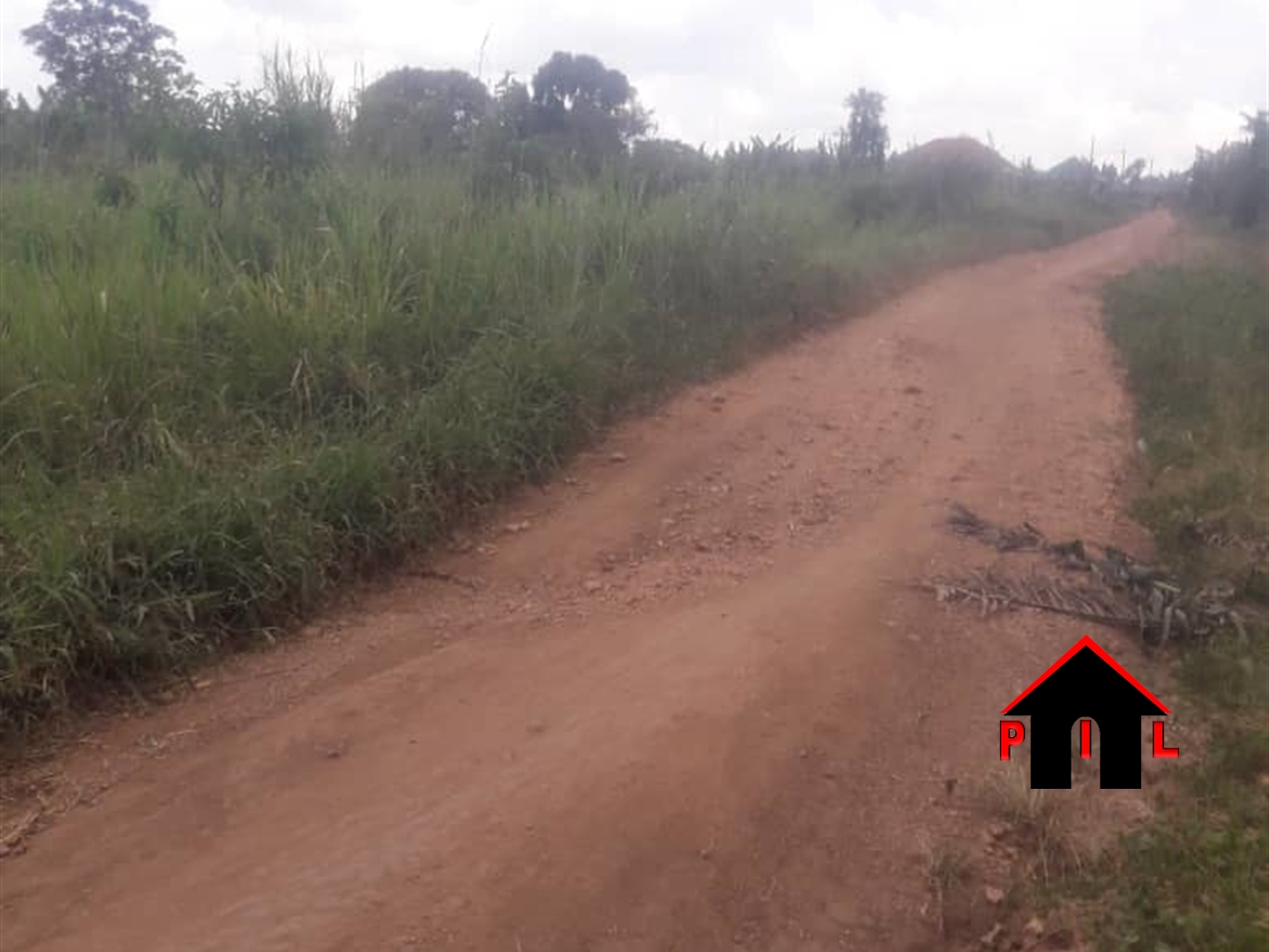 Agricultural Land for sale in Kiwoko Nakaseke