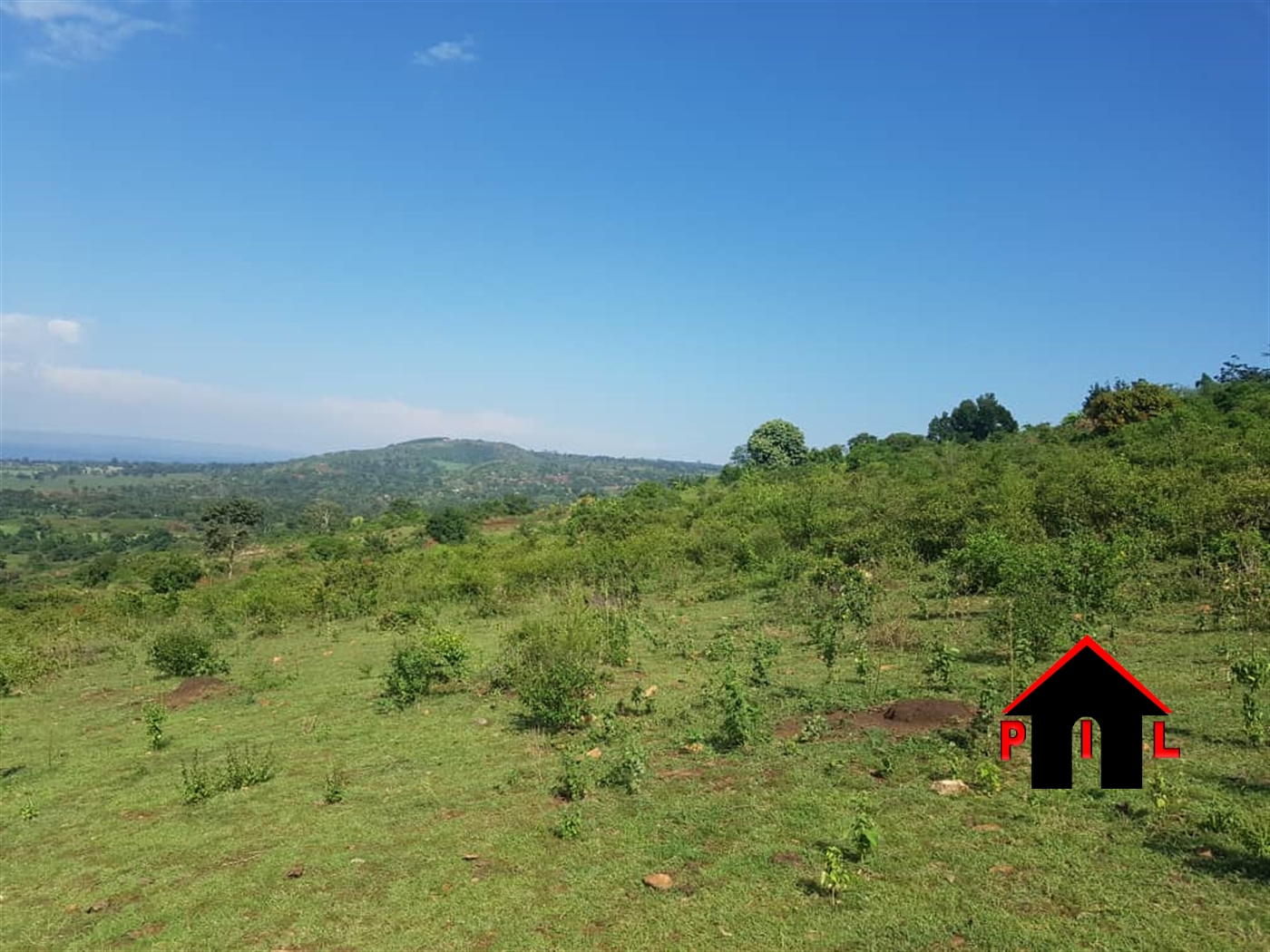 Agricultural Land for sale in Kiwoko Nakaseke