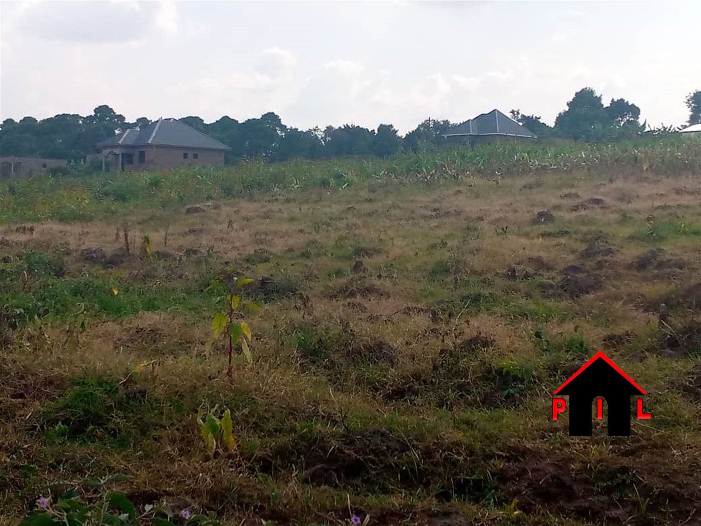 Agricultural Land for sale in Kyanamukaaka Masaka