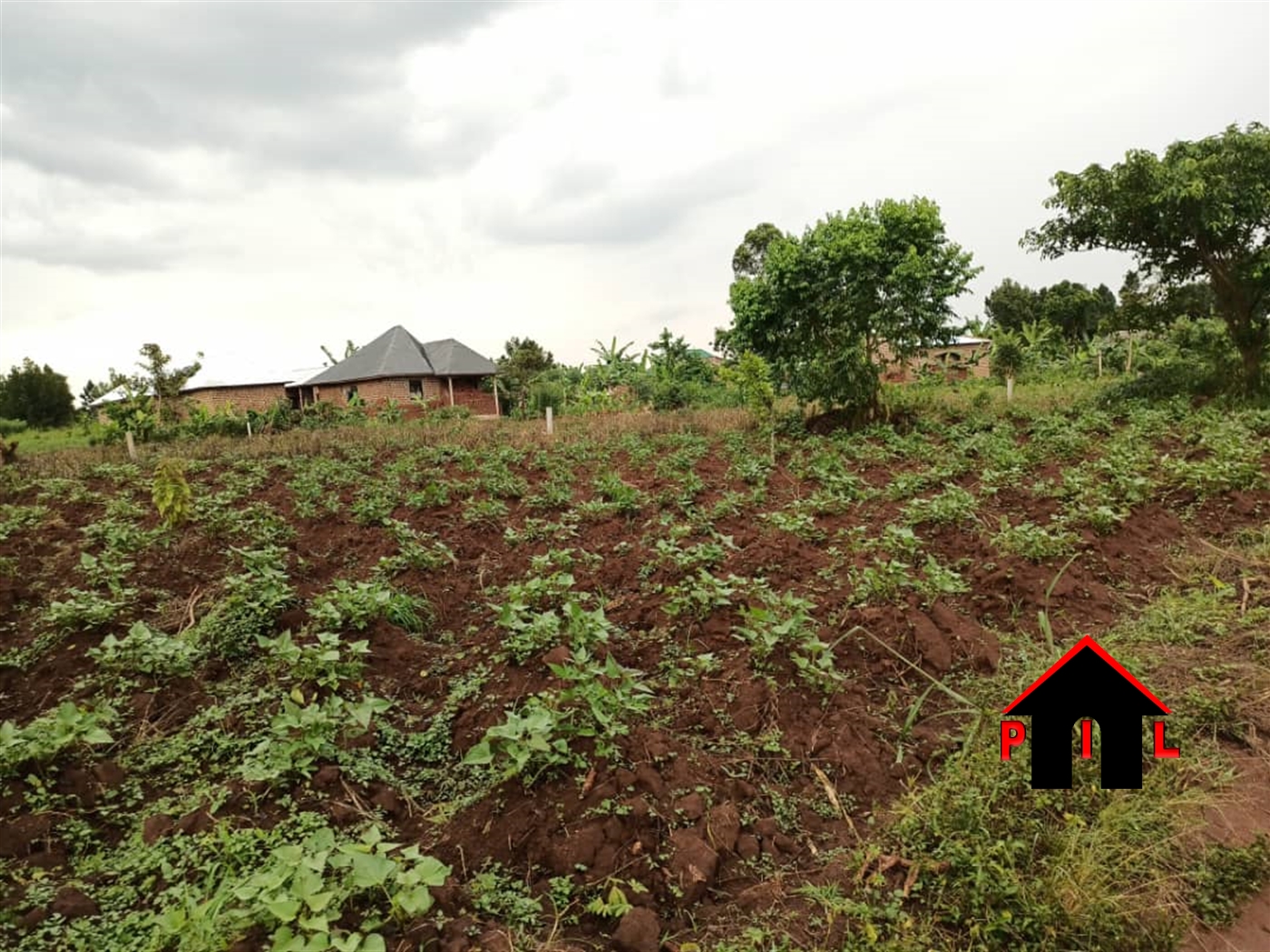 Agricultural Land for sale in Kyanamukaaka Masaka