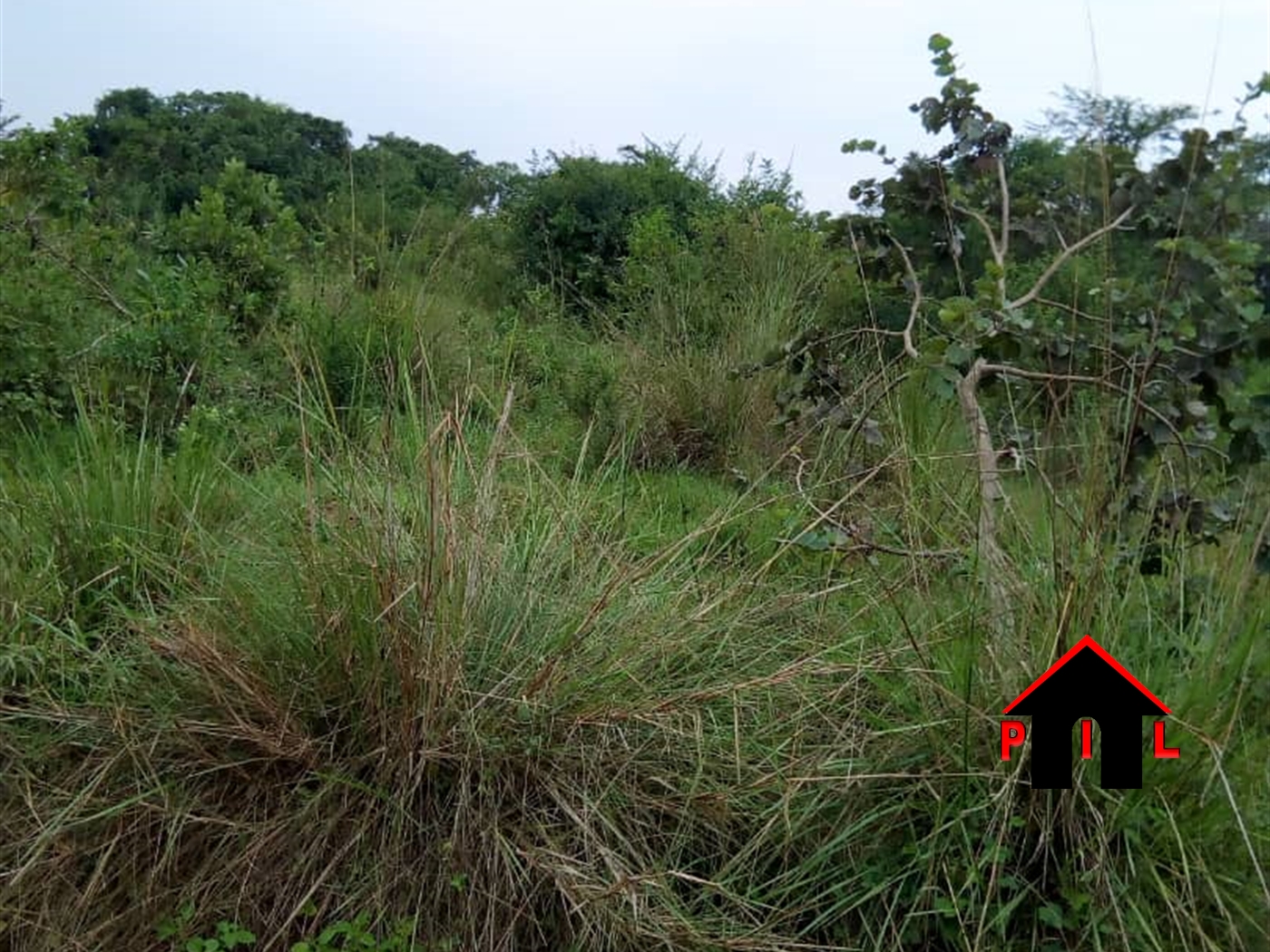 Agricultural Land for sale in Nakirebe Mpigi