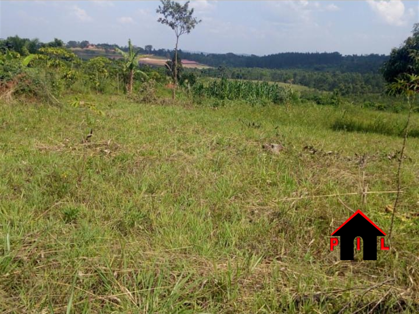 Residential Land for sale in Matugga Wakiso