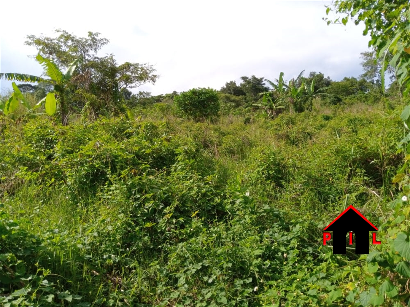 Agricultural Land for sale in Kyampisi Luweero