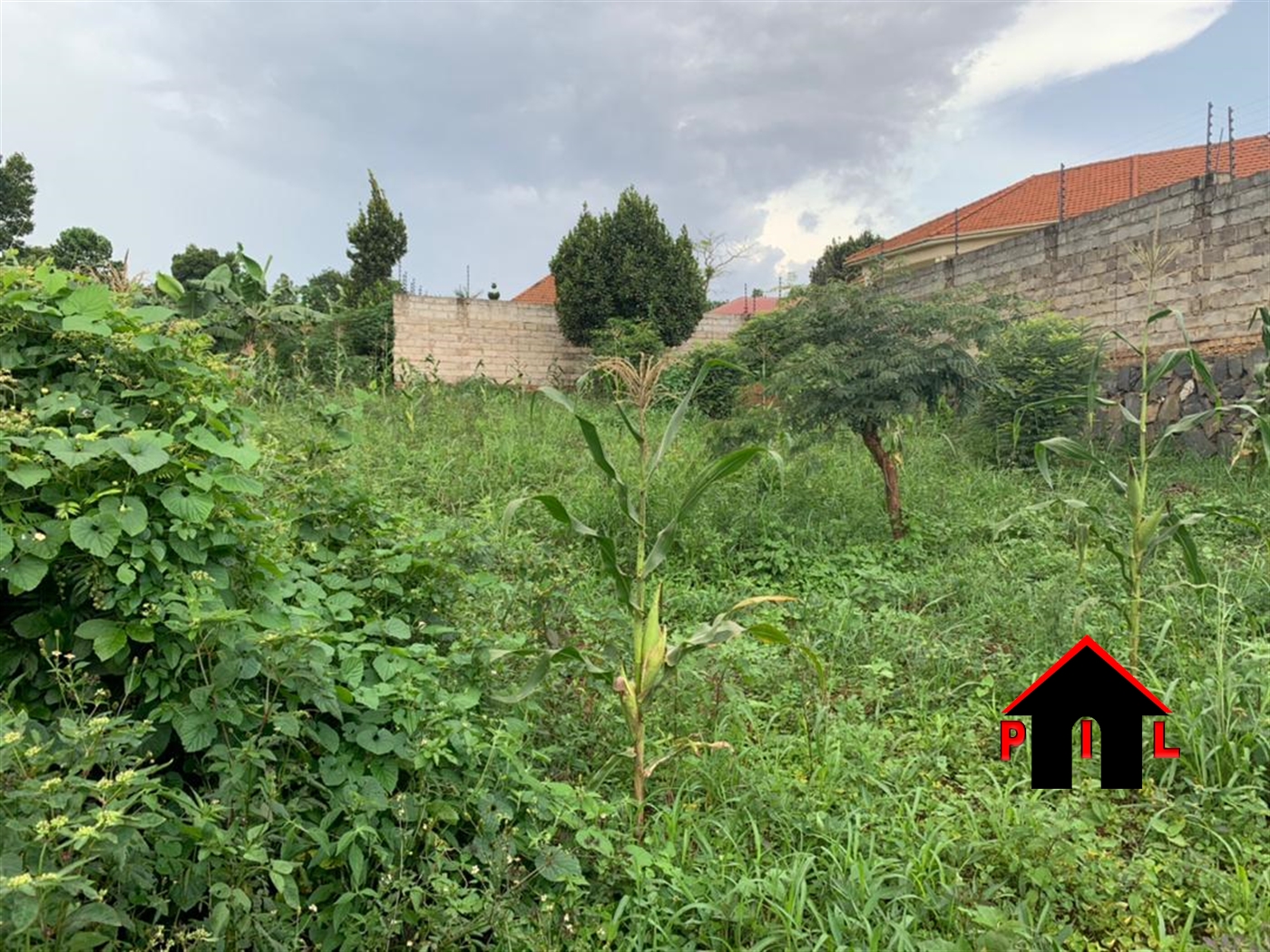 Agricultural Land for sale in Nsangi Wakiso