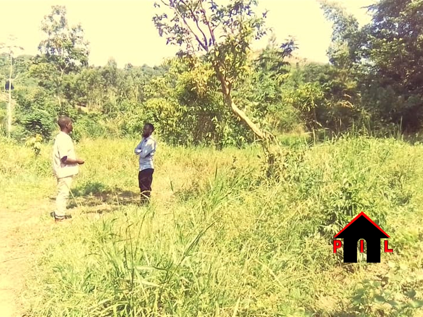 Agricultural Land for sale in Kayabwe Mpigi