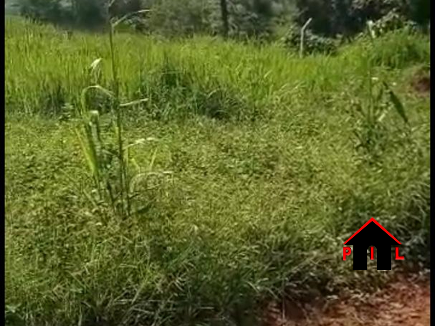 Agricultural Land for sale in Lukaya Kalungu