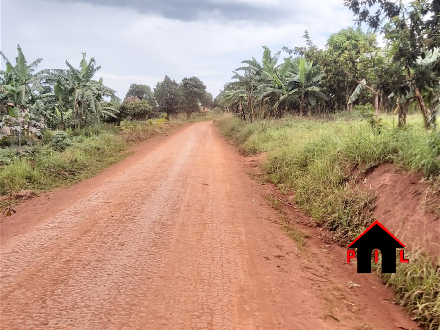 Agricultural Land for sale in Lwabenge Kalungu