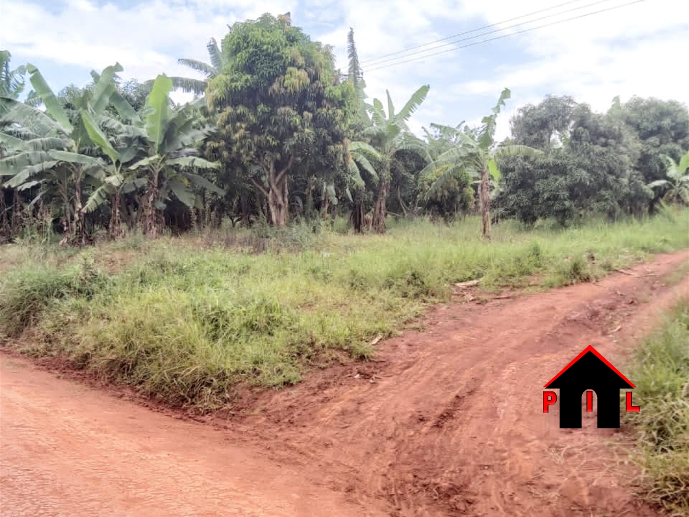 Agricultural Land for sale in Lwabenge Kalungu