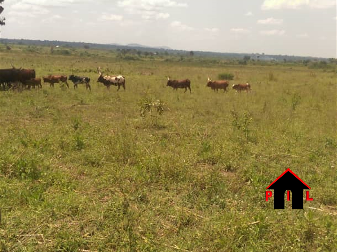 Agricultural Land for sale in Kinoni Masaka