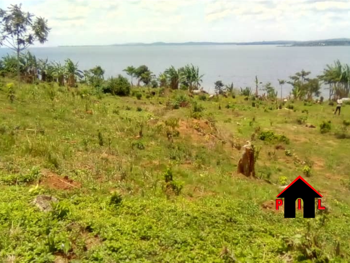 Agricultural Land for sale in Kyankwanzi Kiboga