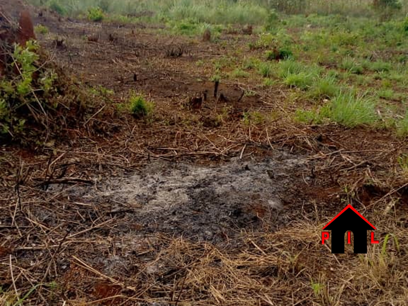 Agricultural Land for sale in Kabimbili Mukono