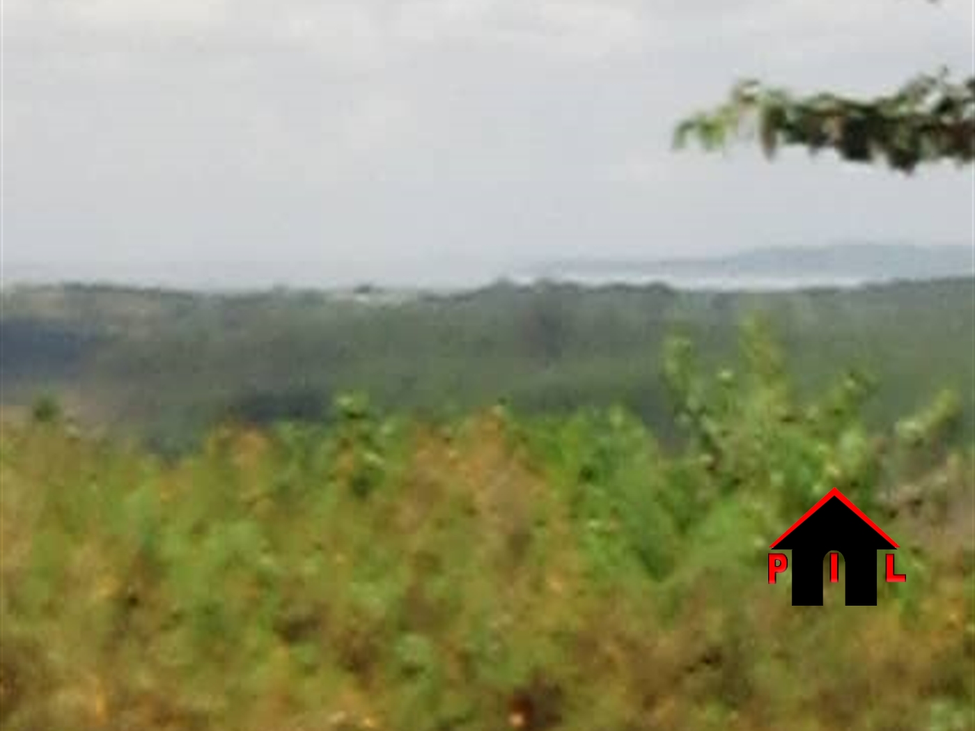 Agricultural Land for sale in Mpoma Mukono